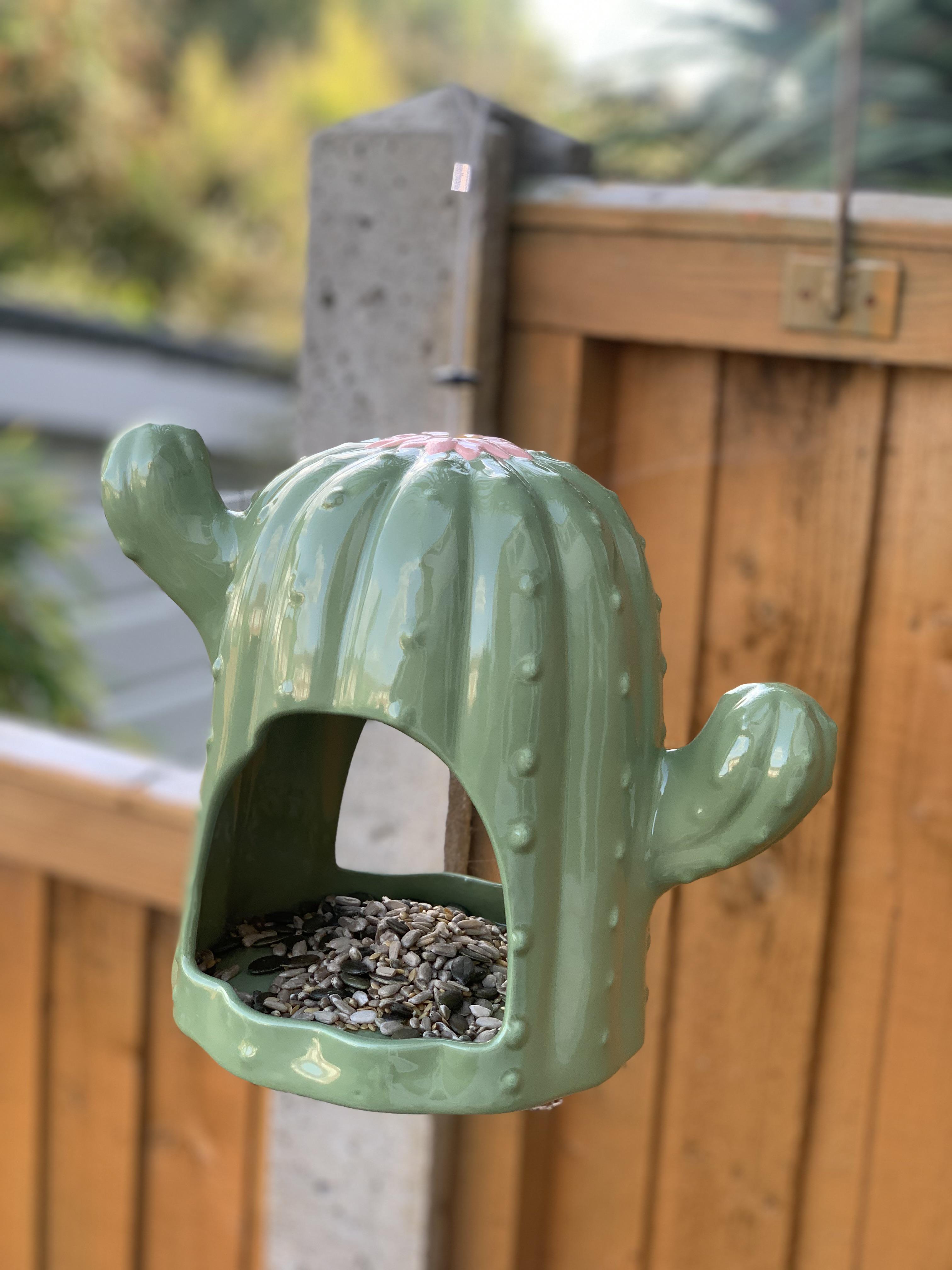 Lovely bird feeders in Aldi uk at the moment r/cactus