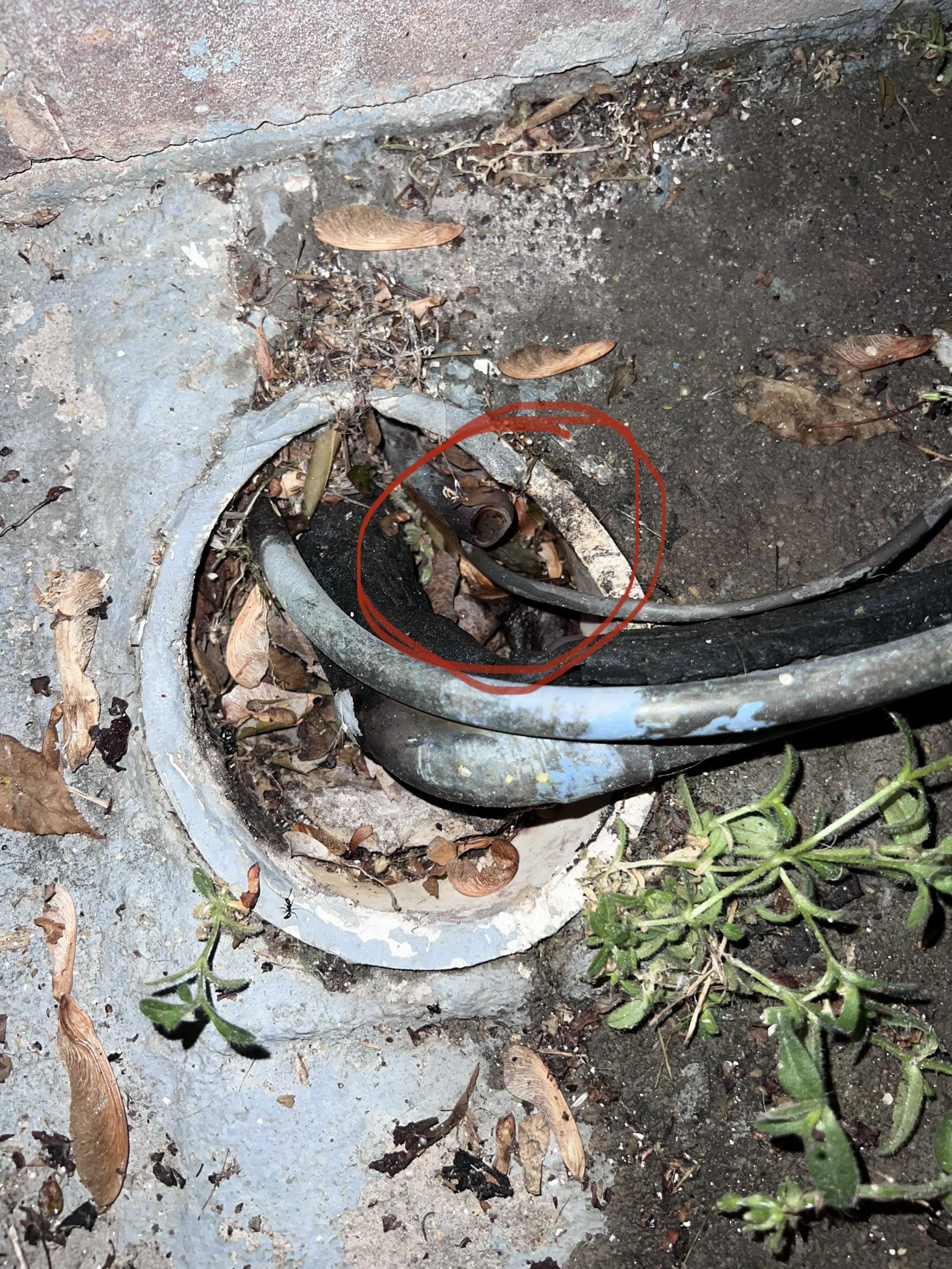 Ac line : r/Plumbing