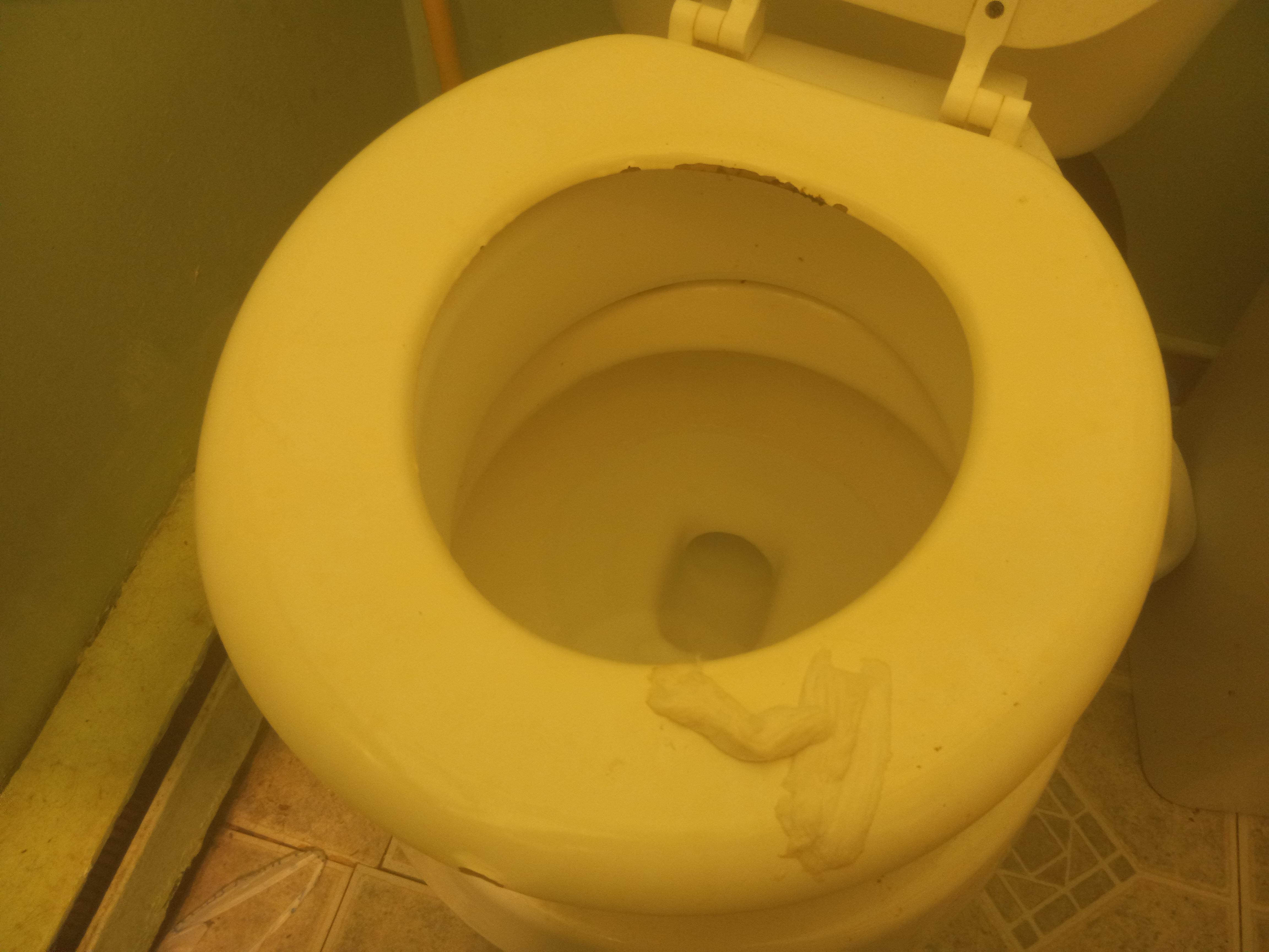 my Grandma leaves toilet paper on the seat r/mildlyinfuriating