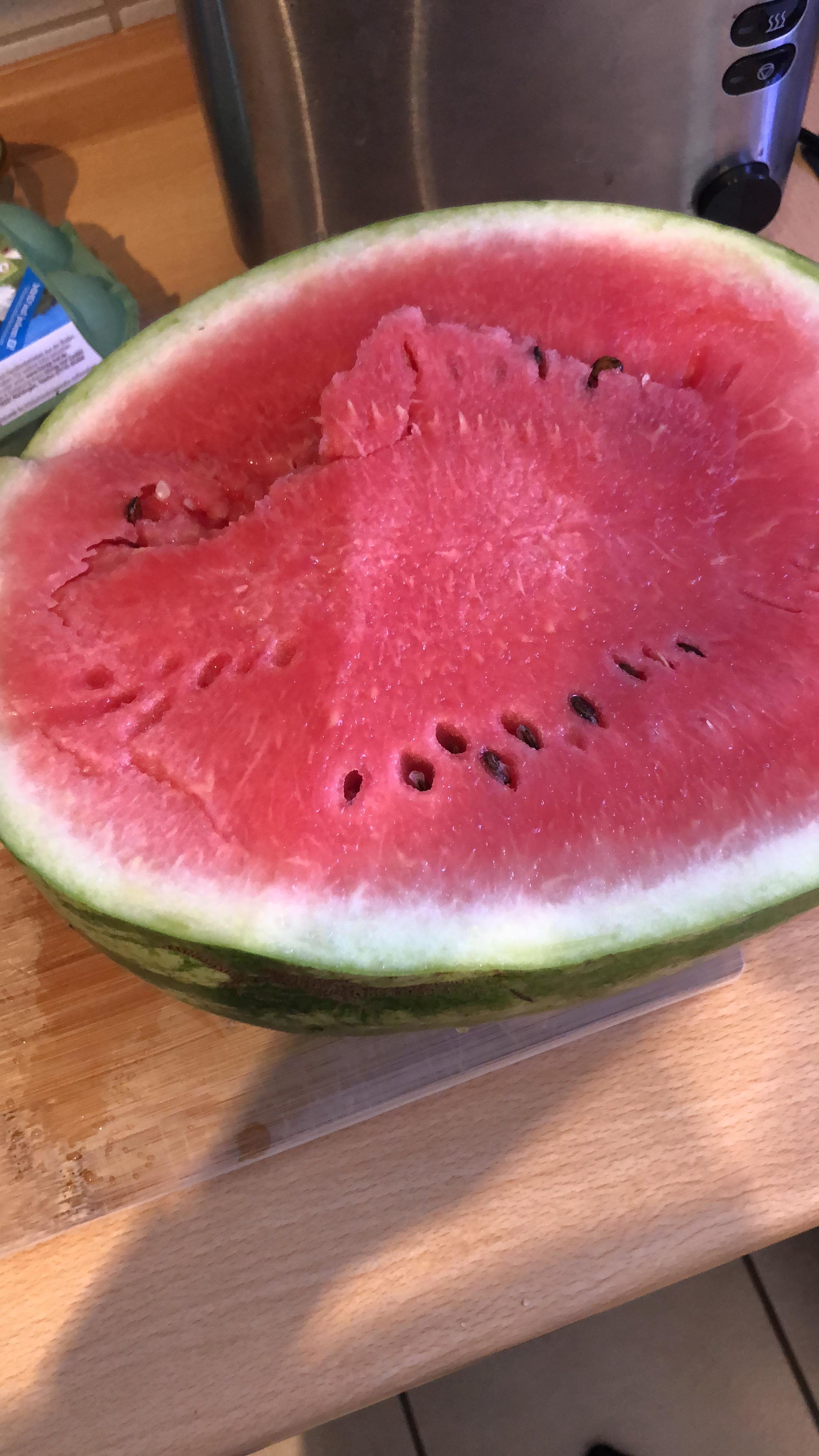 My first melon from my garden in south Germany, more to come. r/gardening