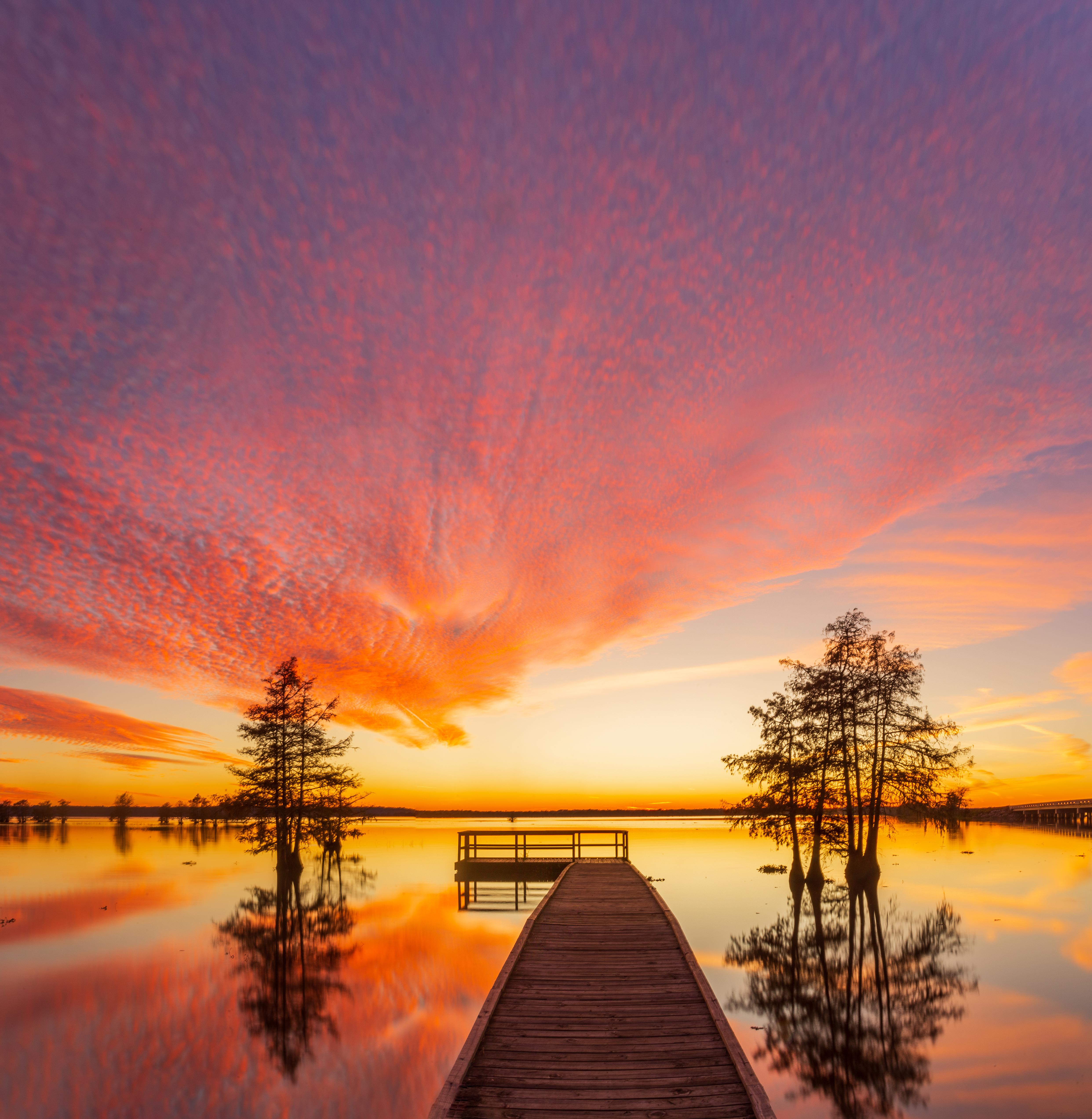 Martin Dies State Park, Jasper, Texas (OC) 4967 × 5087 TexasViews