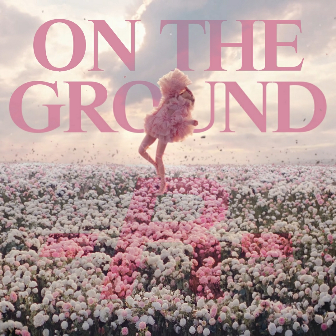 Collection 95+ Wallpaper Rose On The Ground Mv Excellent