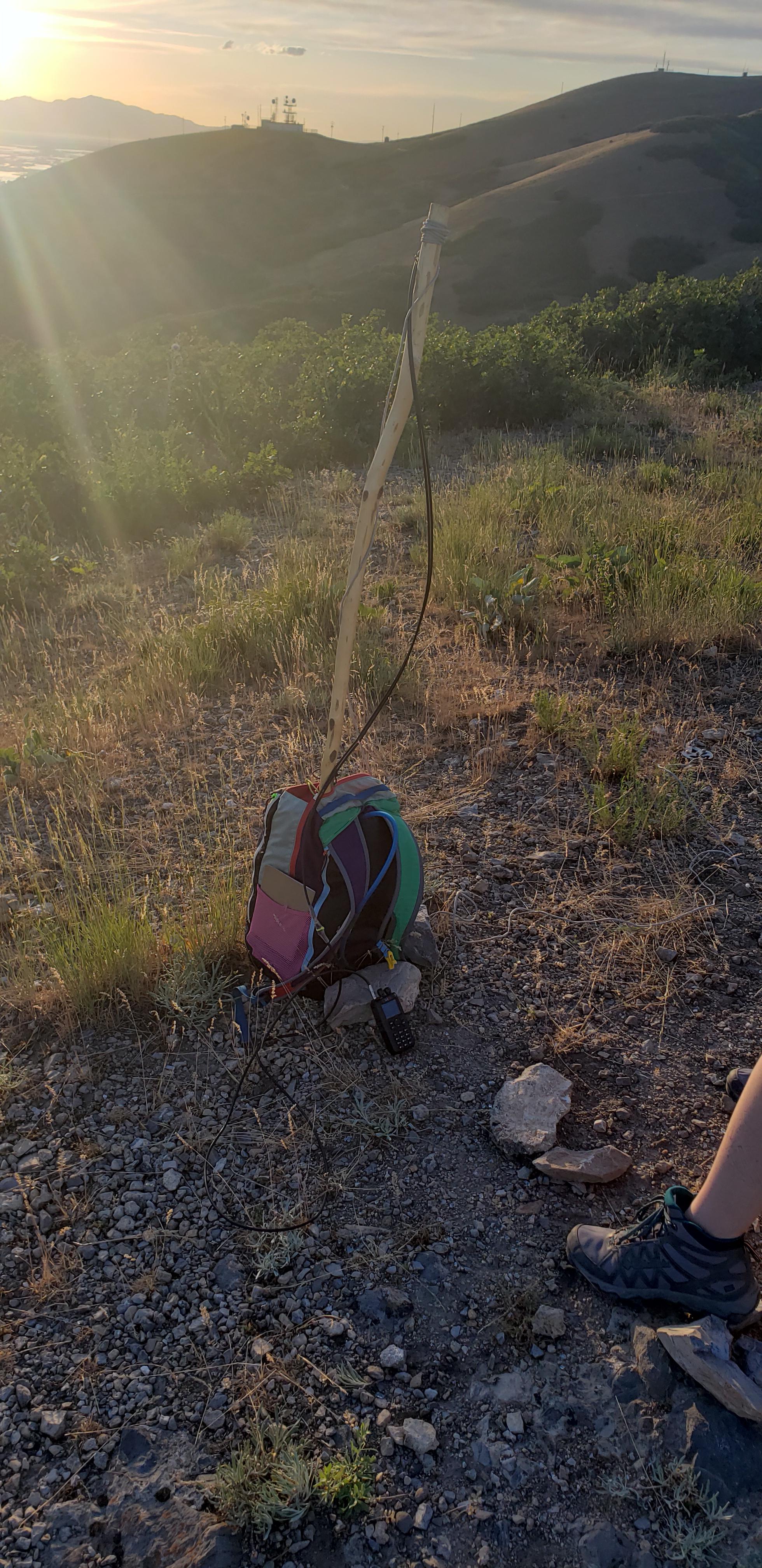 Ensign Peak Twinlead rollable Jpole setup r/amateurradio