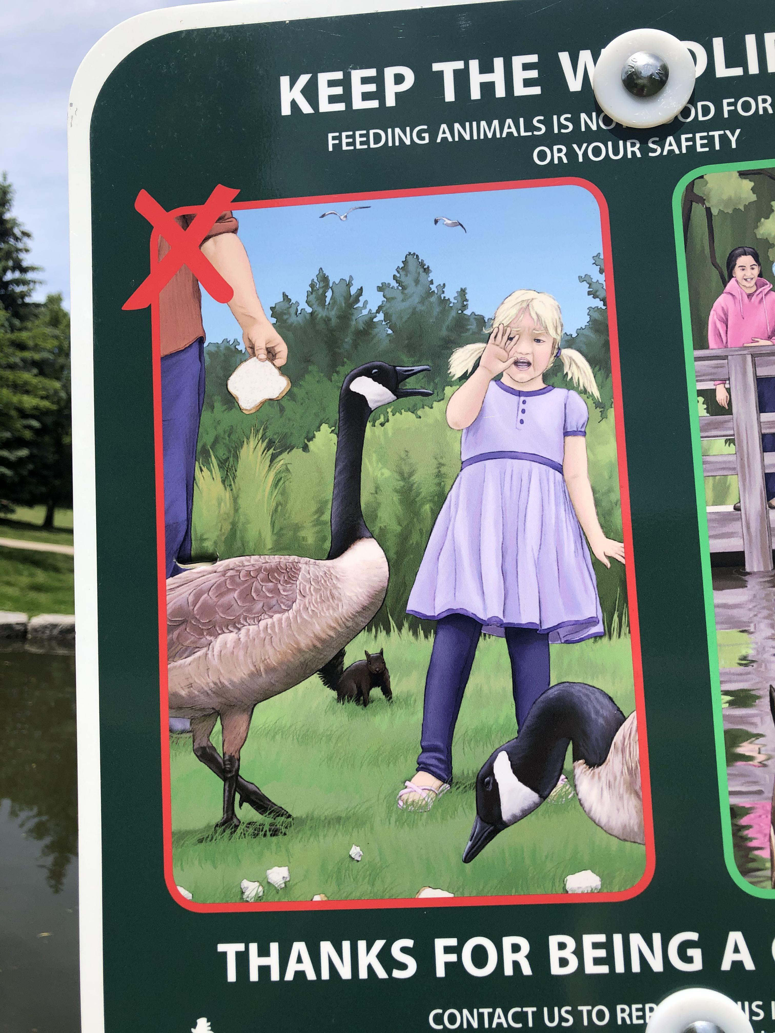 This will never not make me laugh r/kitchener