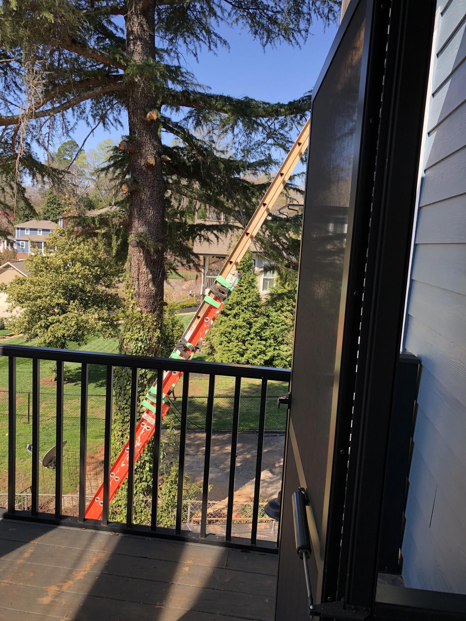 When you need a bigger ladder r/OSHA