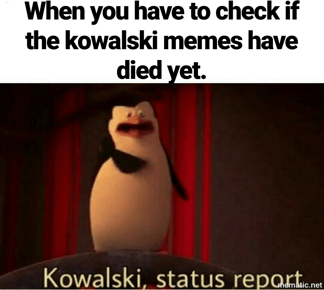 Status report Kowalski_Memes