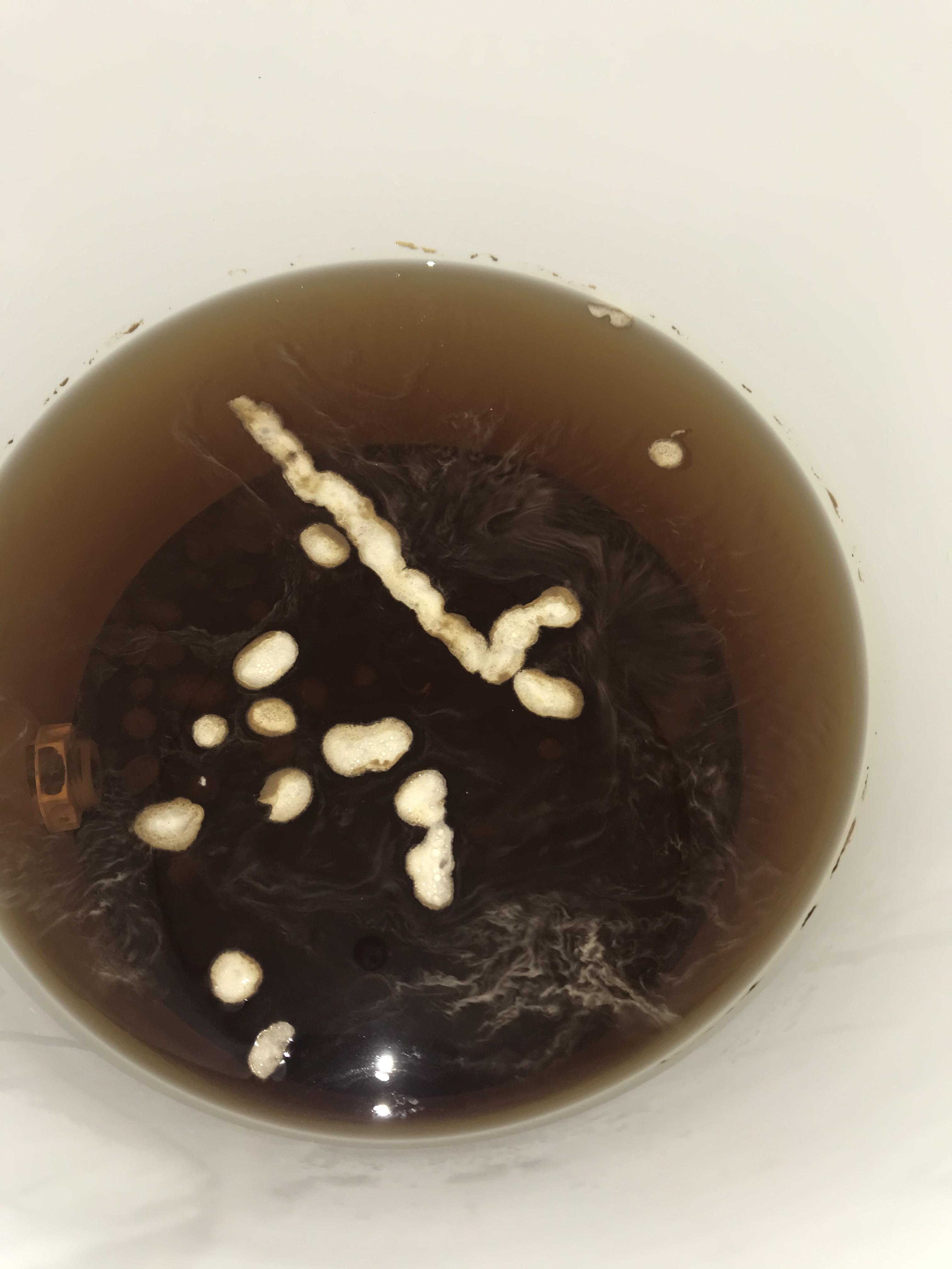 Help needed. This smells like a mead should, can I rack/strain this off