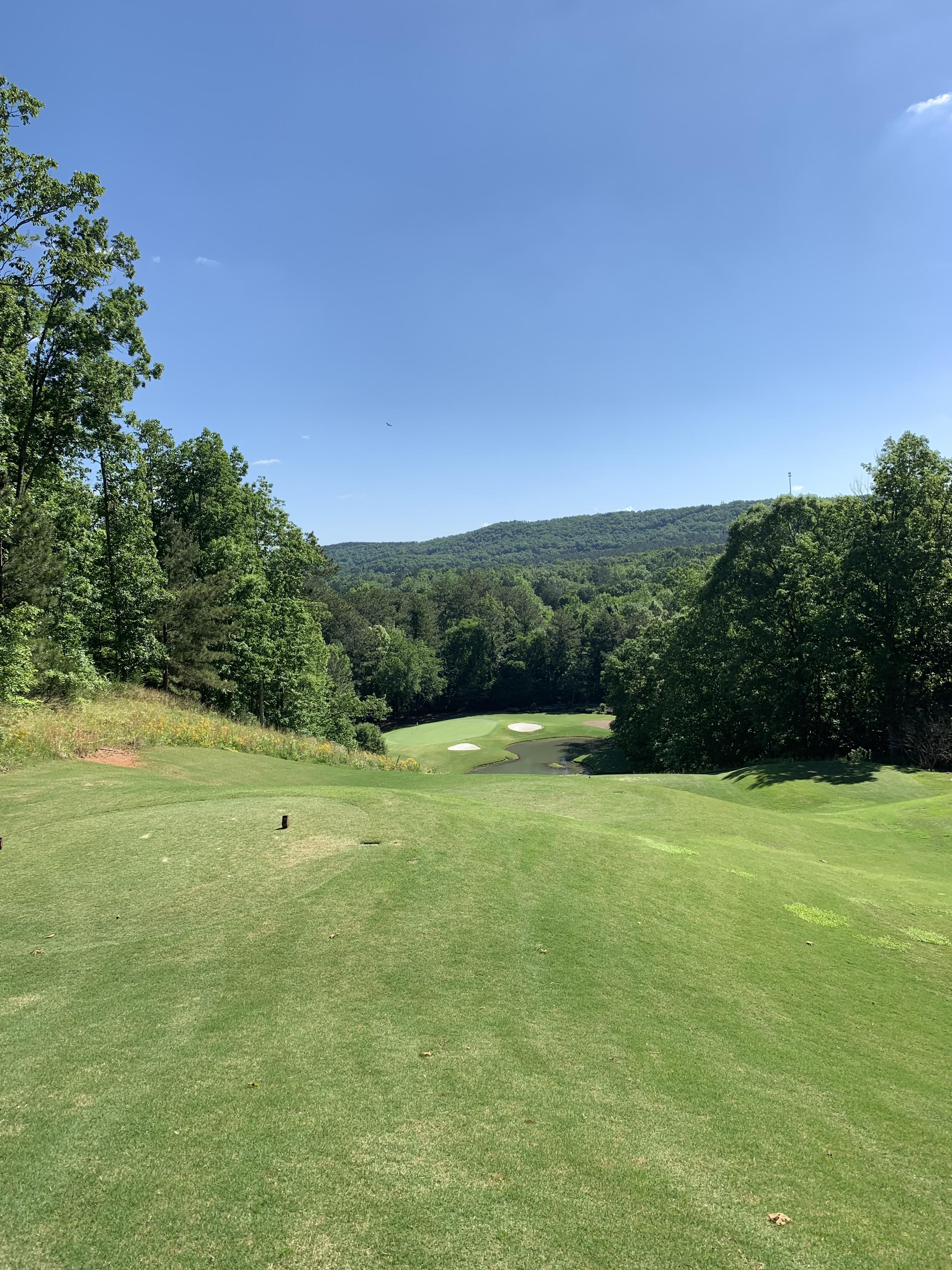 224 par 3 Fazio Barnsley Gardens, GA XFinity edition r/golf