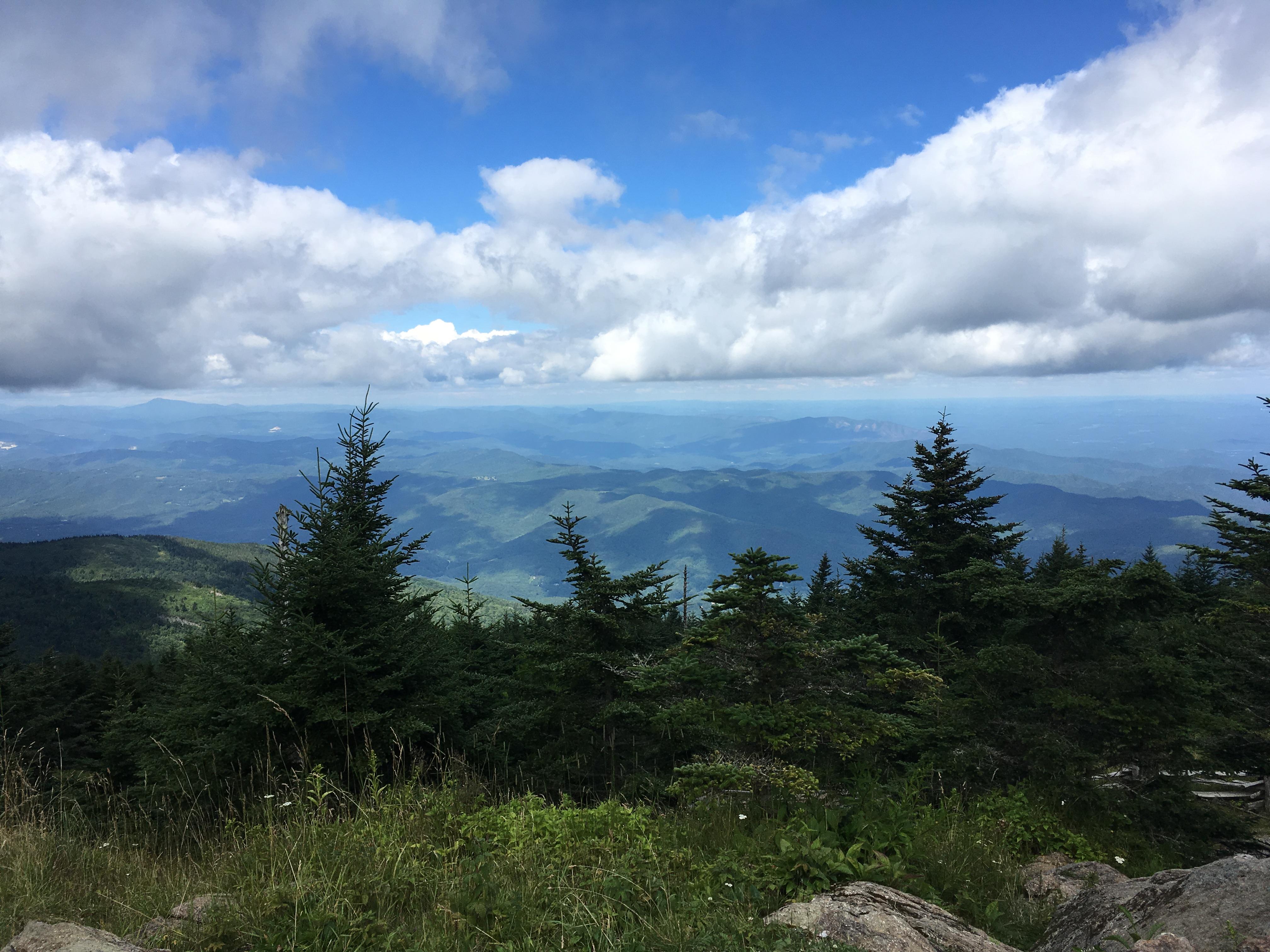 The beauty of the Blue Ridge Mountains, Mt. Mitchell, NC (OC)[4032 x