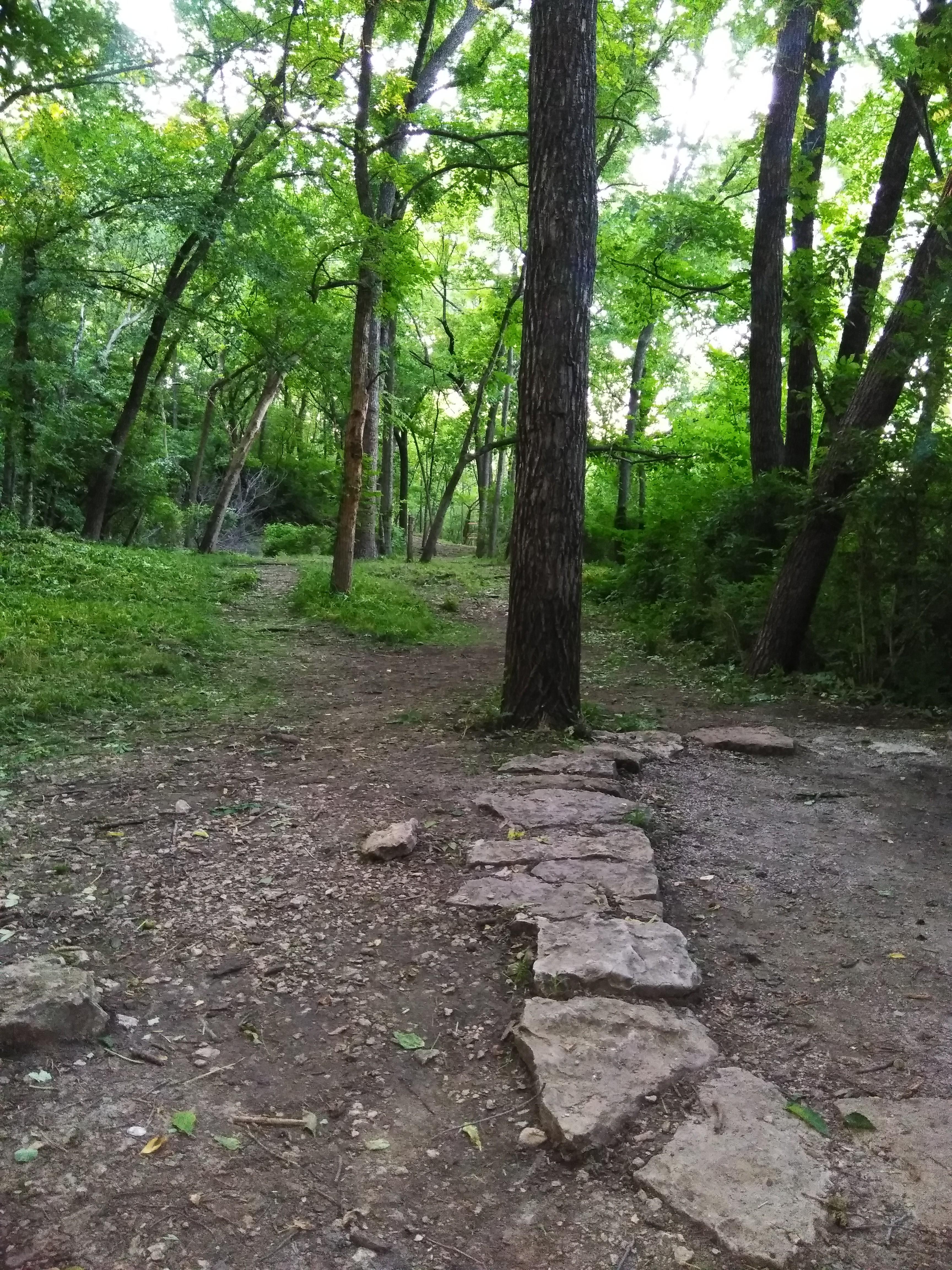 Hole 1 down under Rosedale park, Kansas city r/discgolf