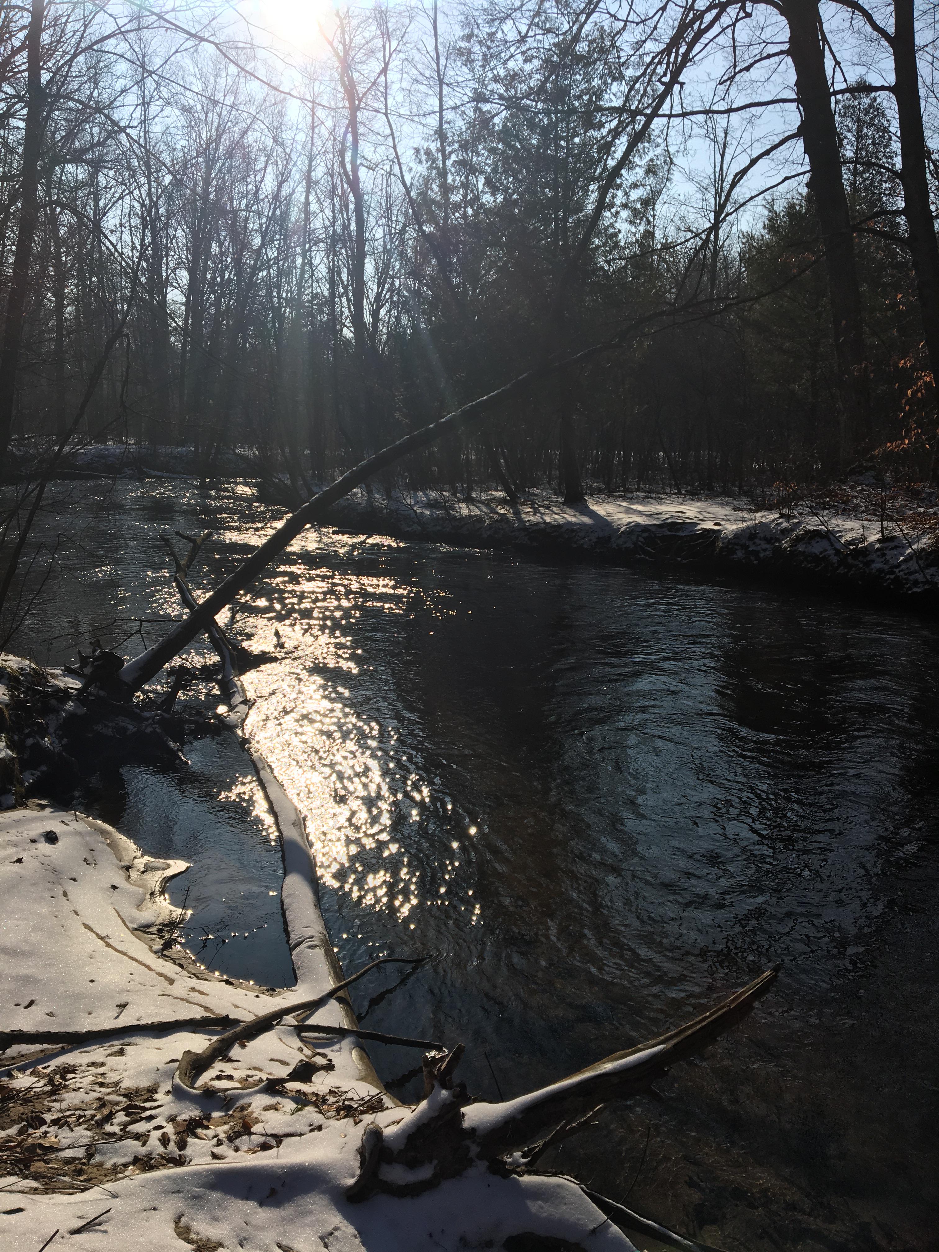 The White River near Hesperia, Michigan. r/Michigan