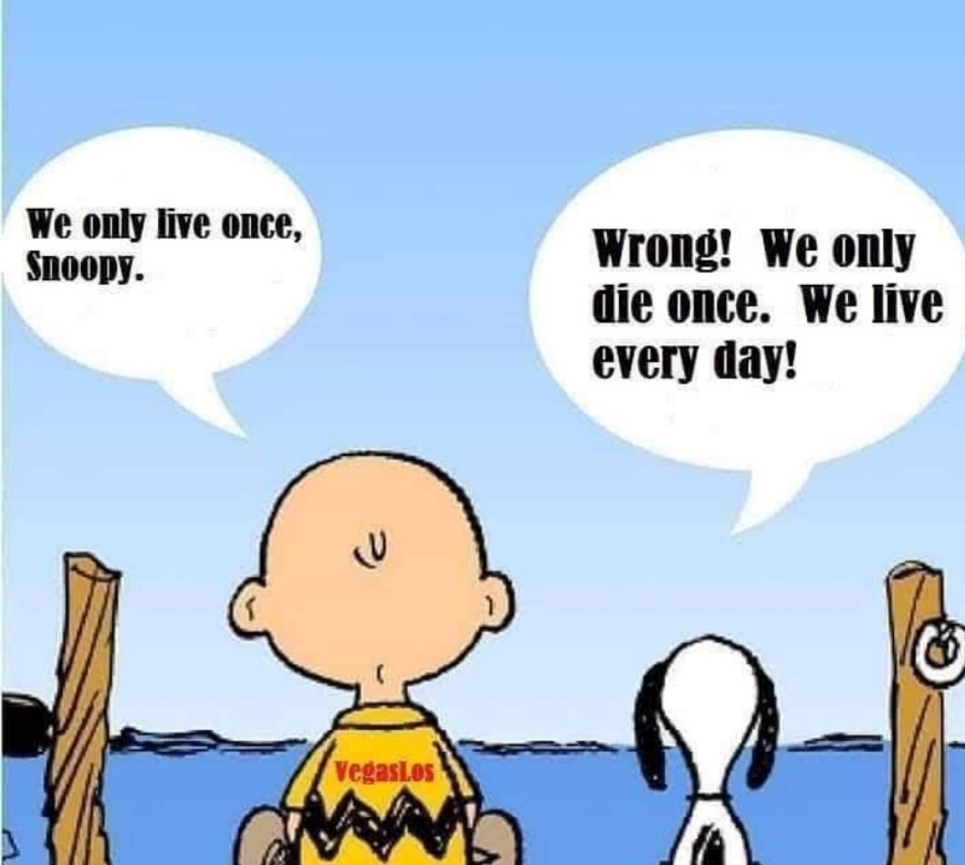 We only live once Snoopy r/snoopy