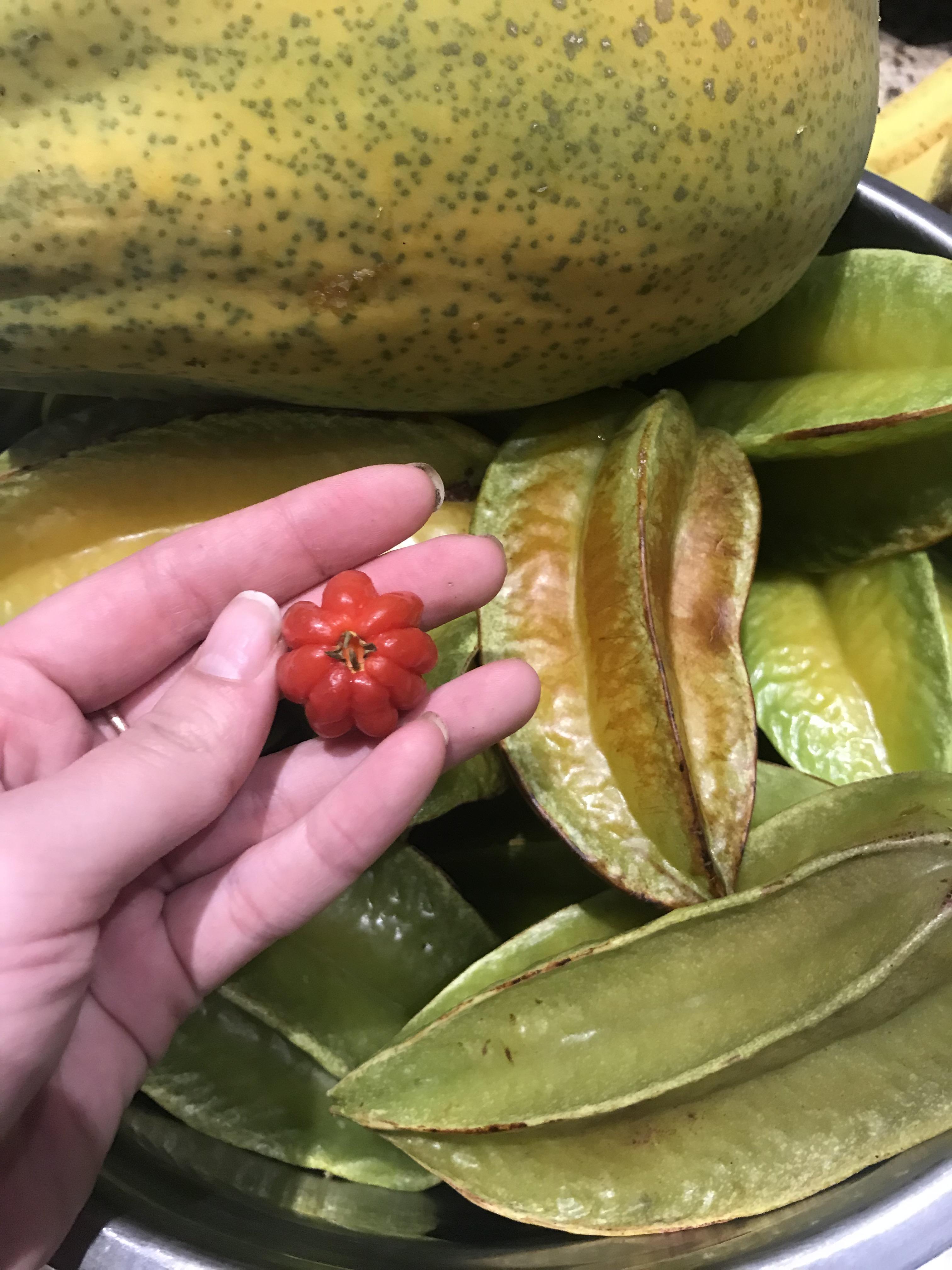 Fruit harvest star fruit, papaya, and a few late bloomers from the