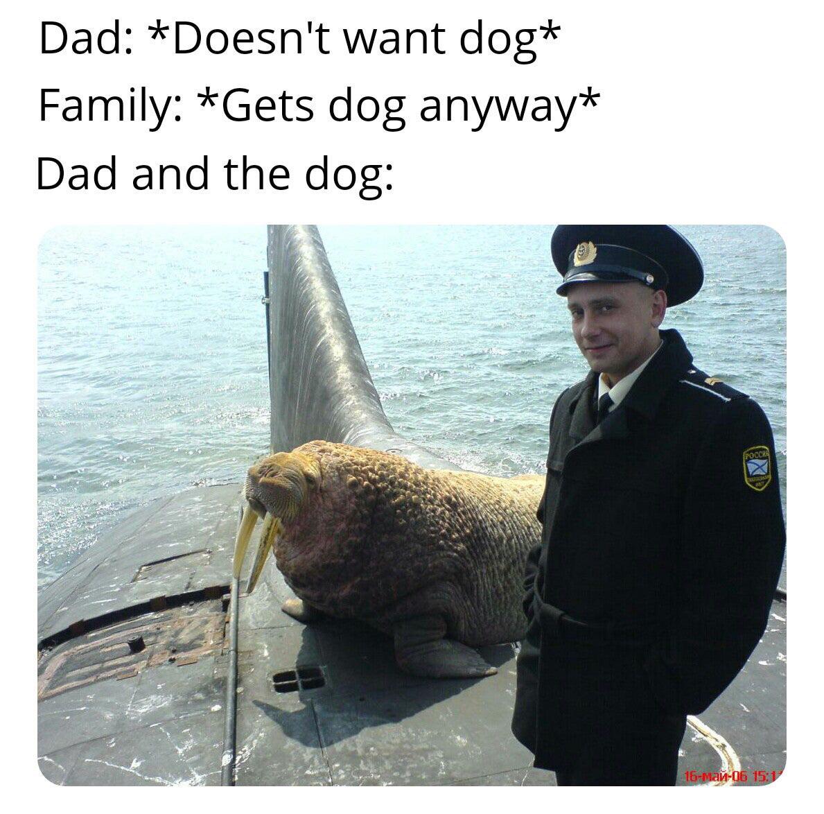 Dad and dog meme memes
