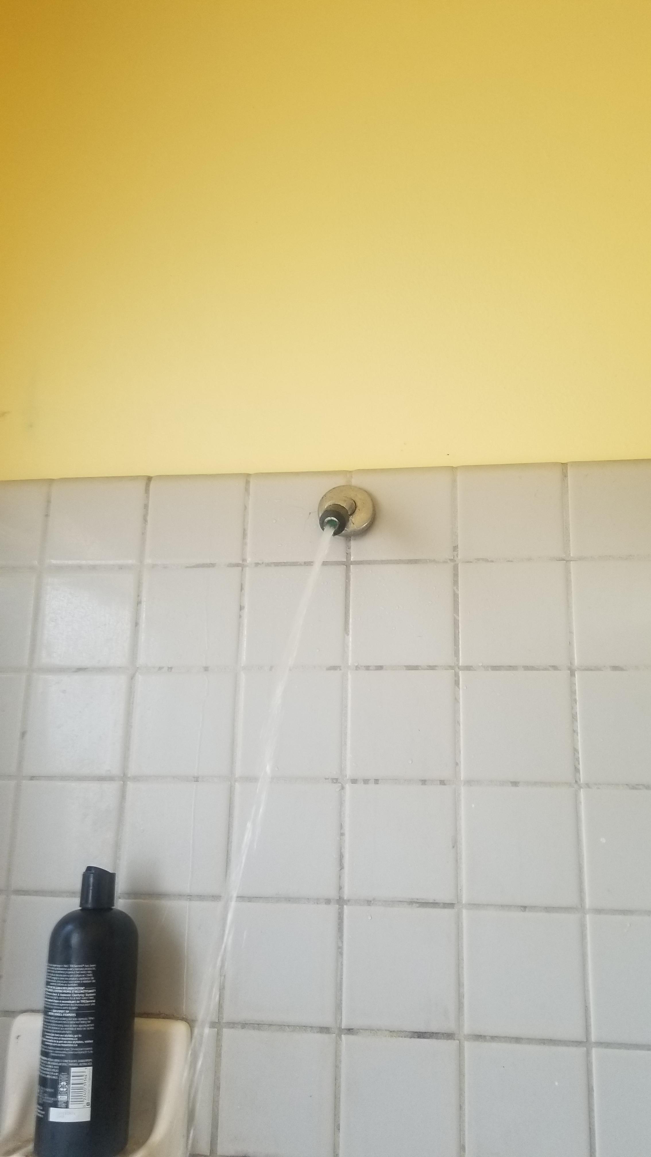 My shower snapped off this morning! r/Wellthatsucks