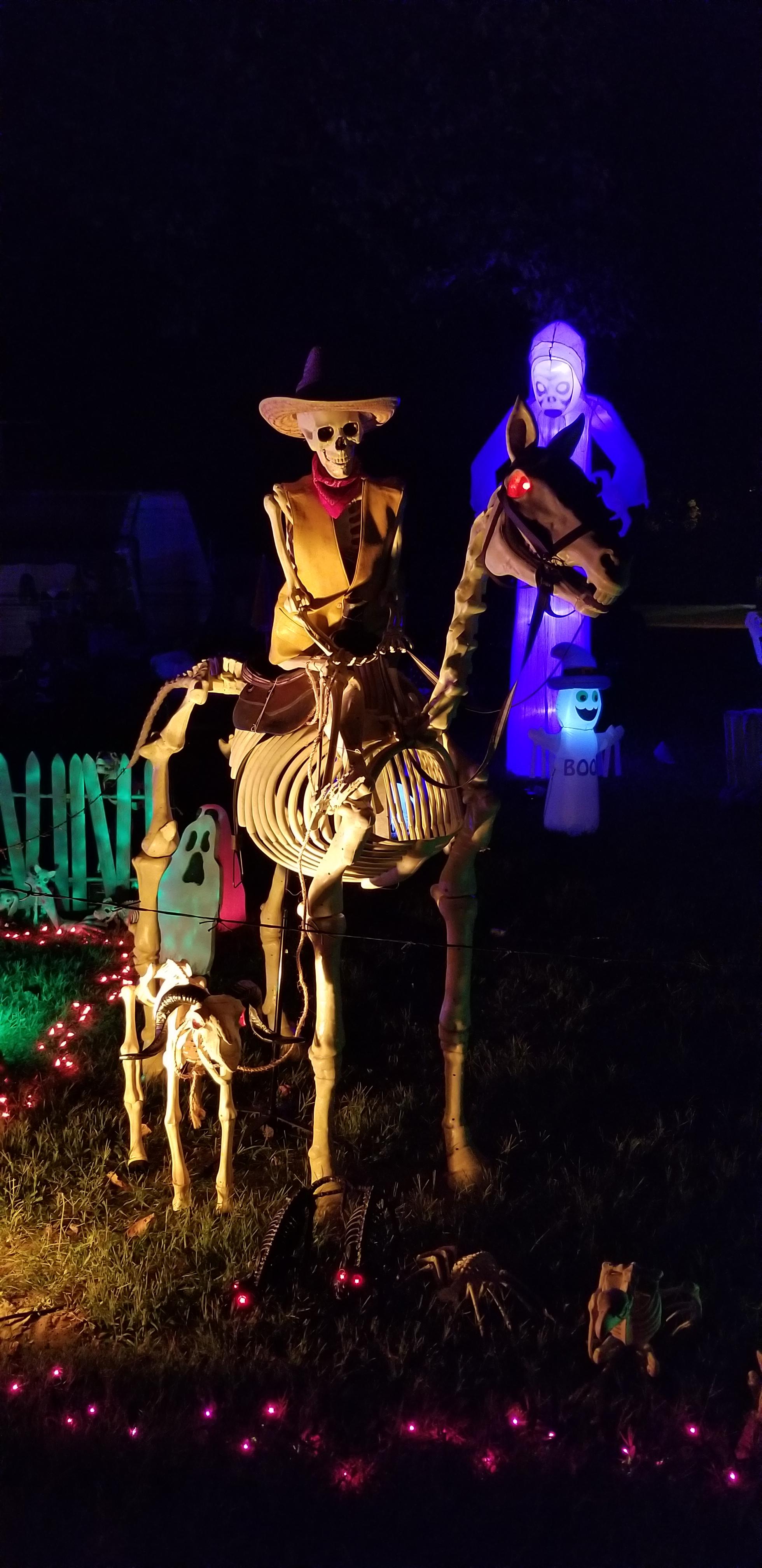 Skeleton cowboy on horseback r/halloween