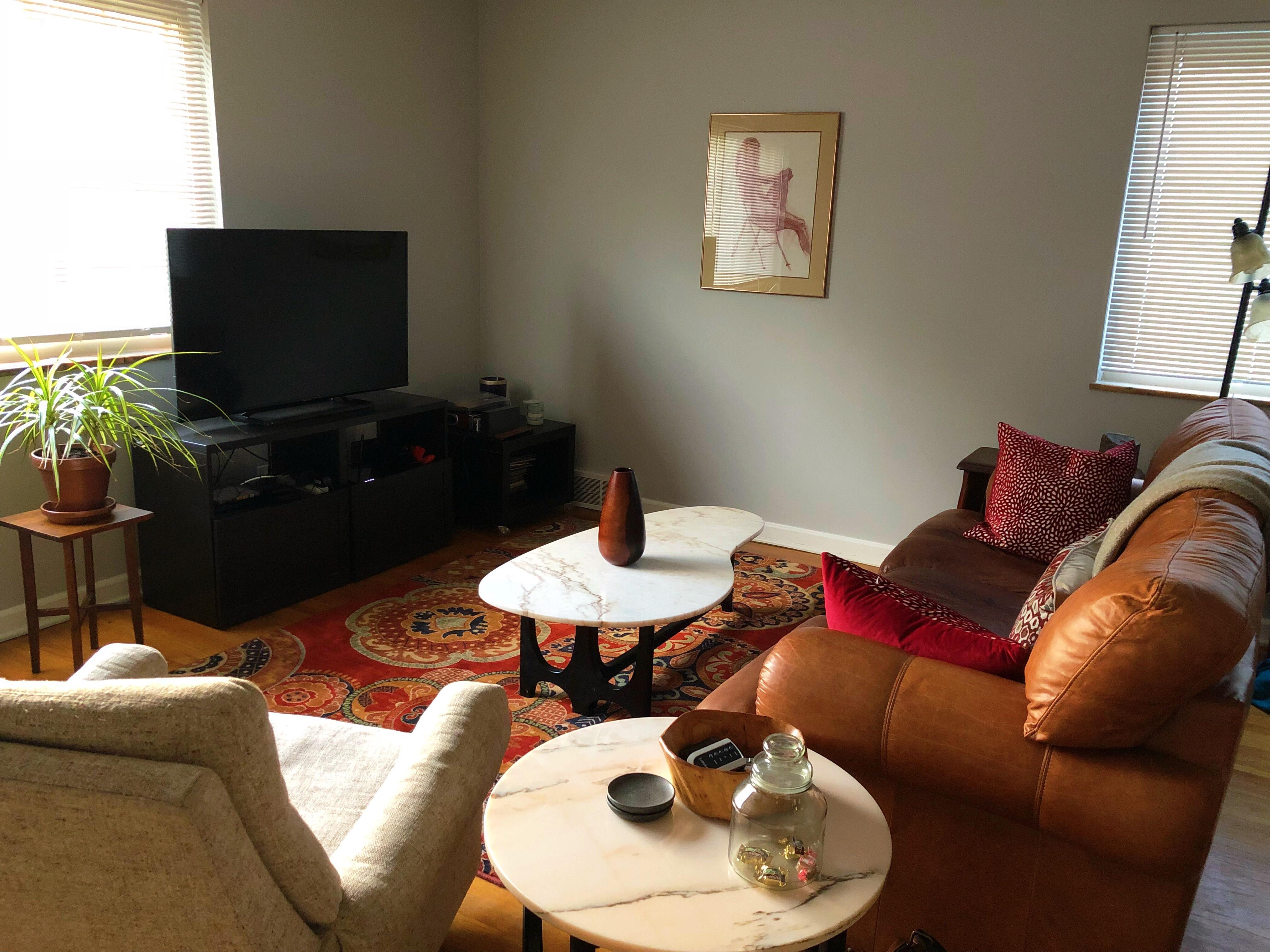 Living Room in the morning light. Columbus, OH. r/AmateurRoomPorn