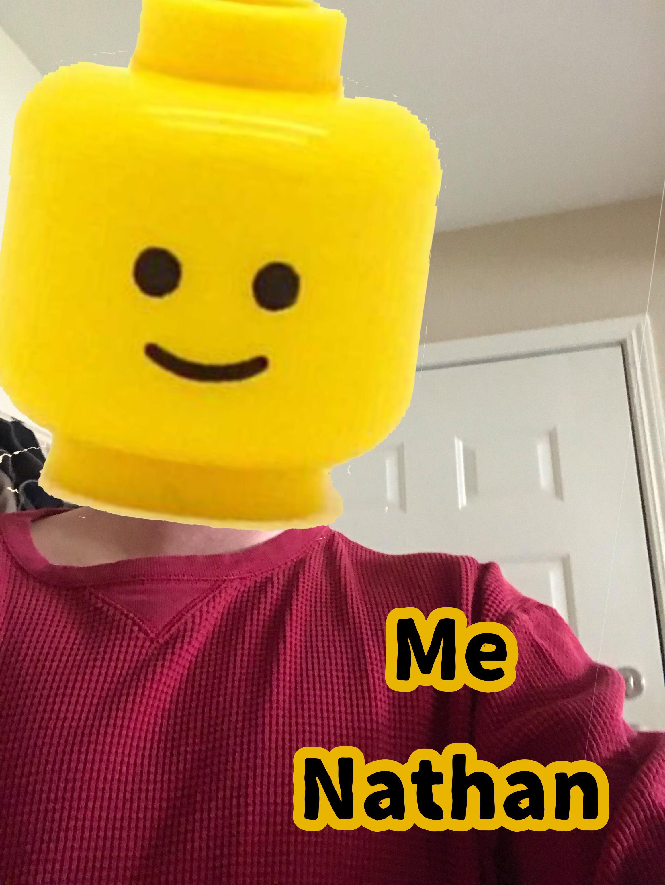 It does mean mean r/LegoMemes