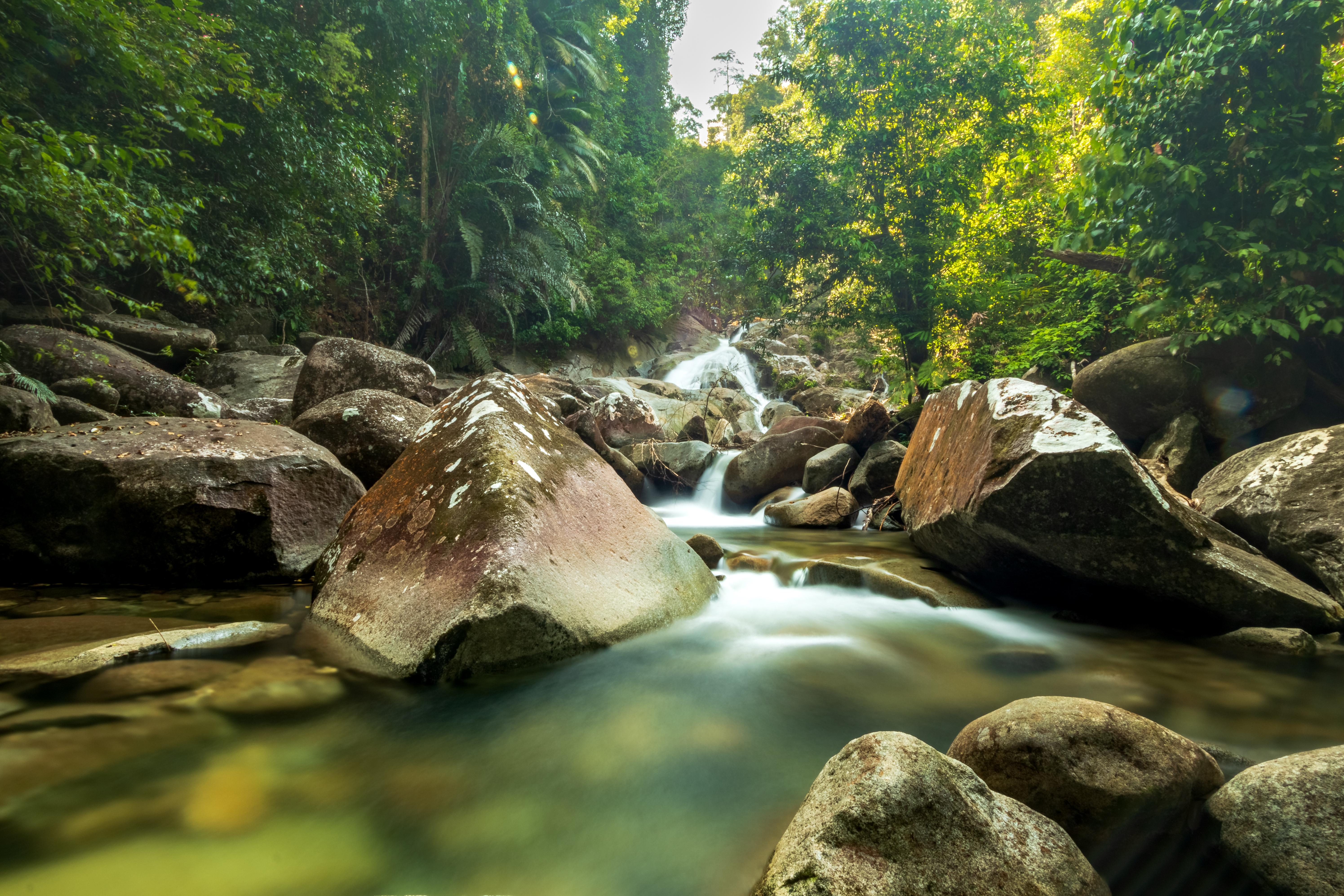 One of the waterfall in Gunung Gading National Park in