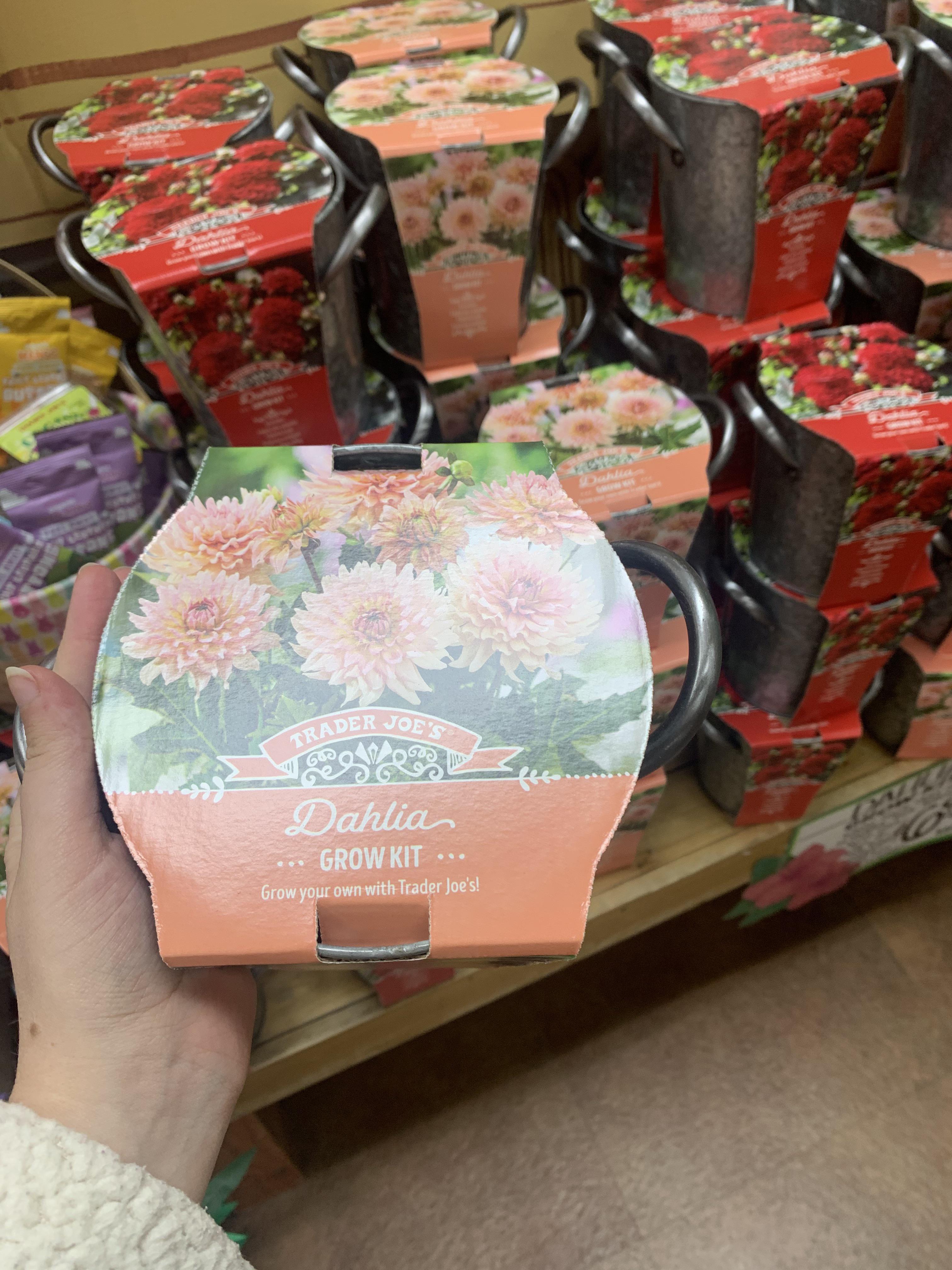 Are the dahlia grow kits new? Has anyone used them before? I got so