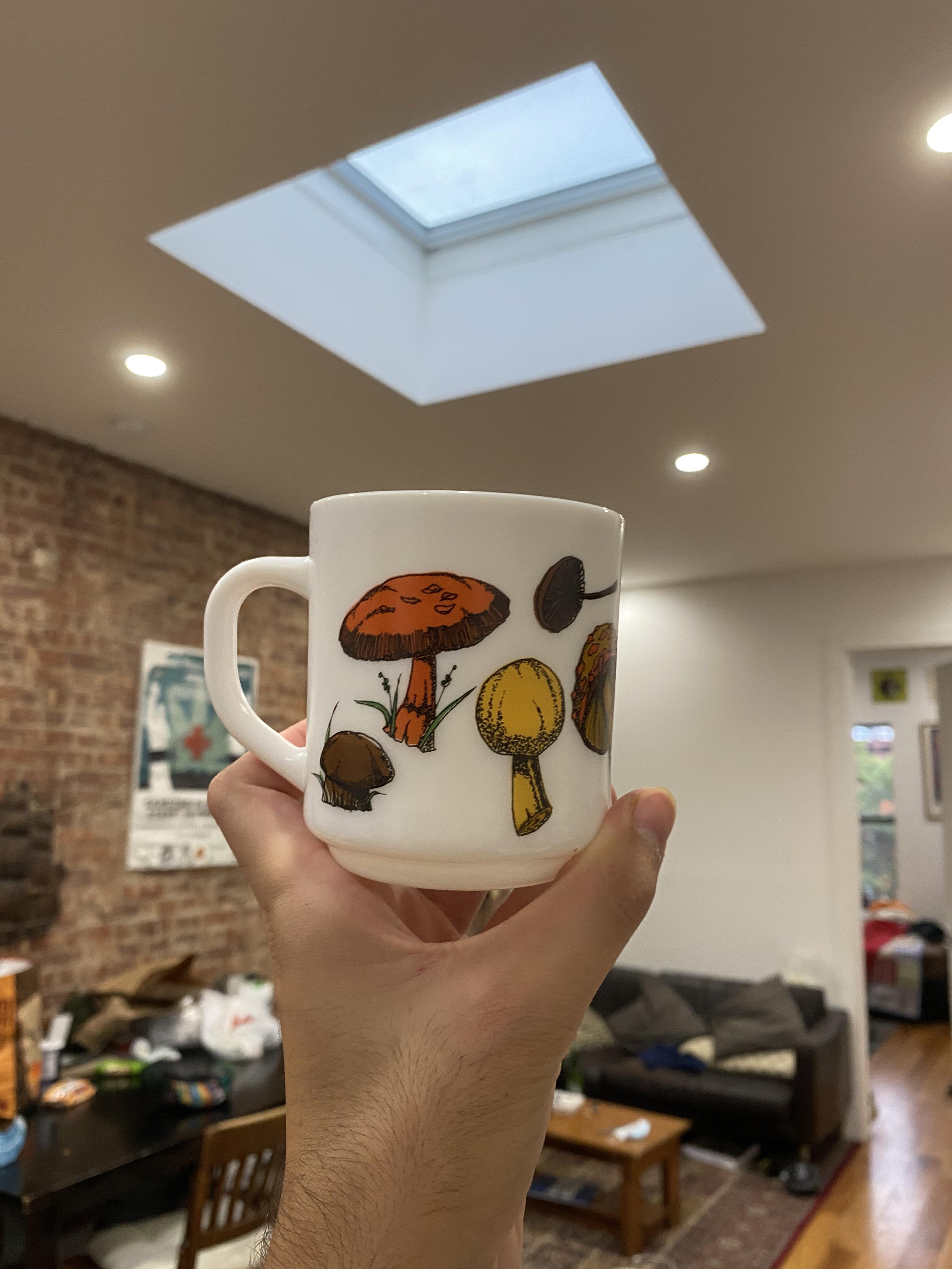 shroom tea anybody? r/muglife