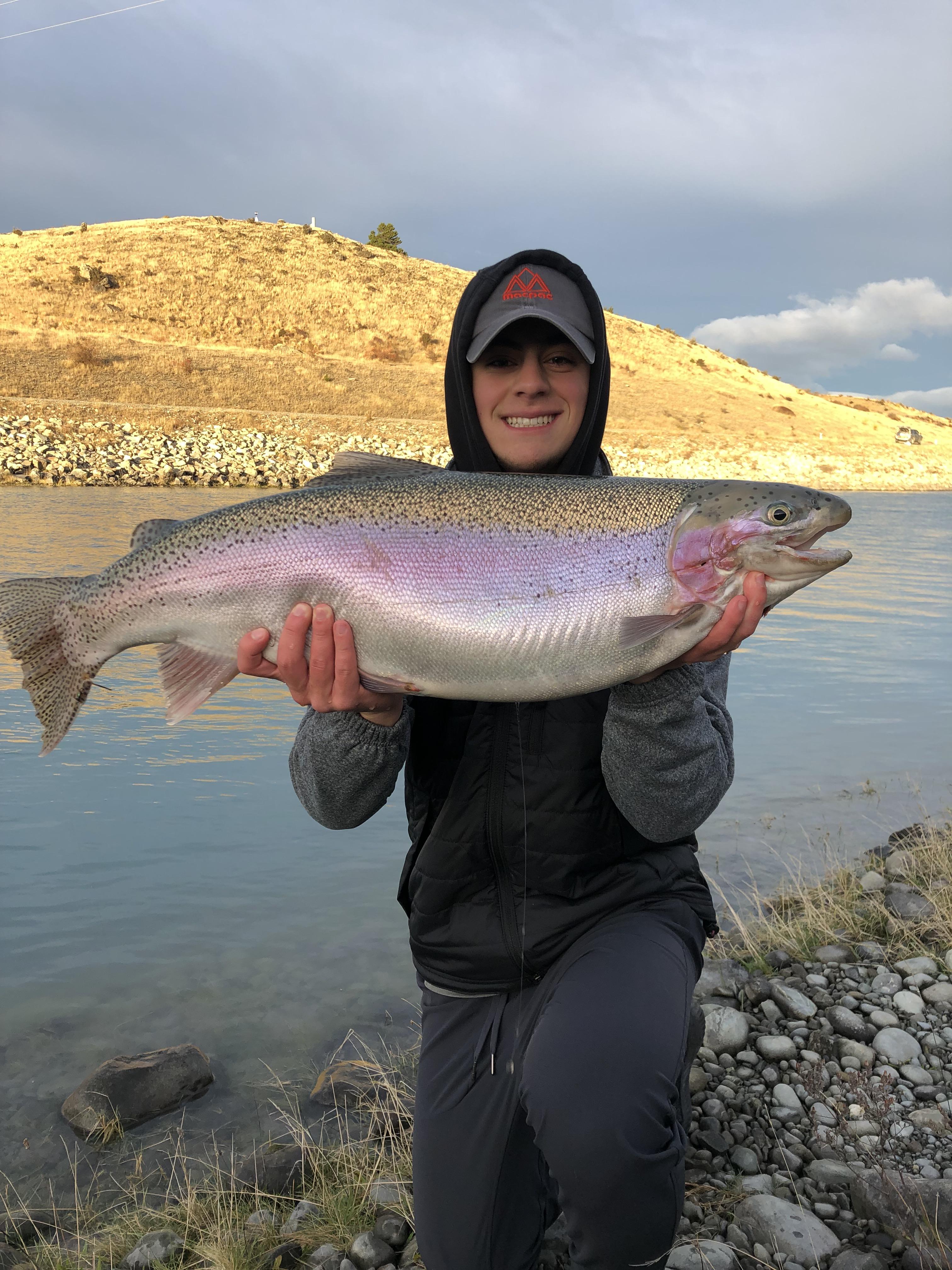 Giant Rainbow trout on the Twizel Hydro Canals in New Zealand r