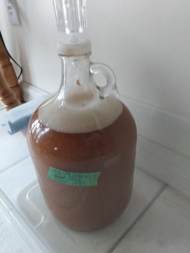 feeding the yeast winemaking