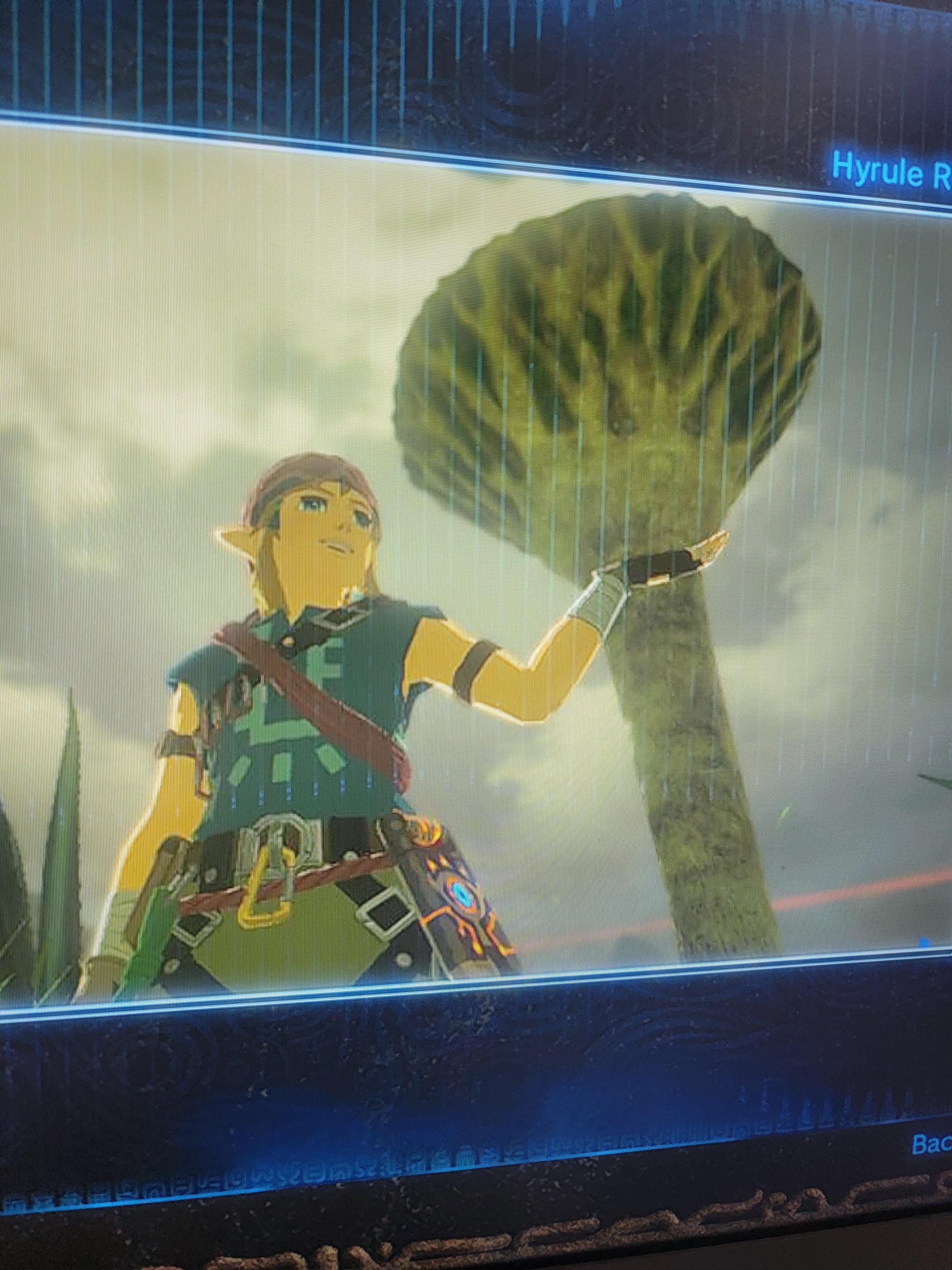 I didn't know these guys were trees you can cut down for wood r/botw