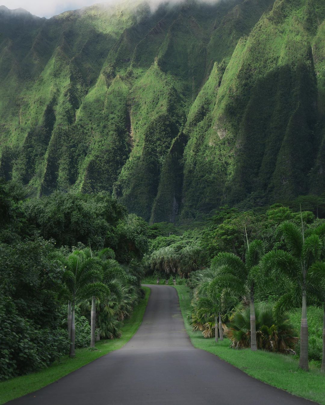 Empty road in Oahu, Hawaii (photographer Rob Law) r/MostBeautiful
