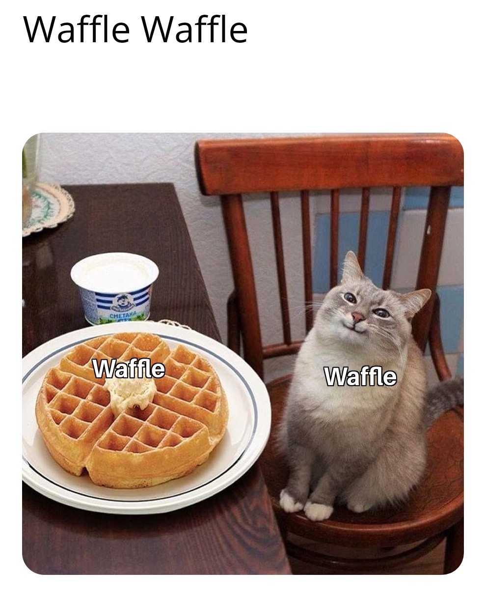 Waffle Waffles r/memes