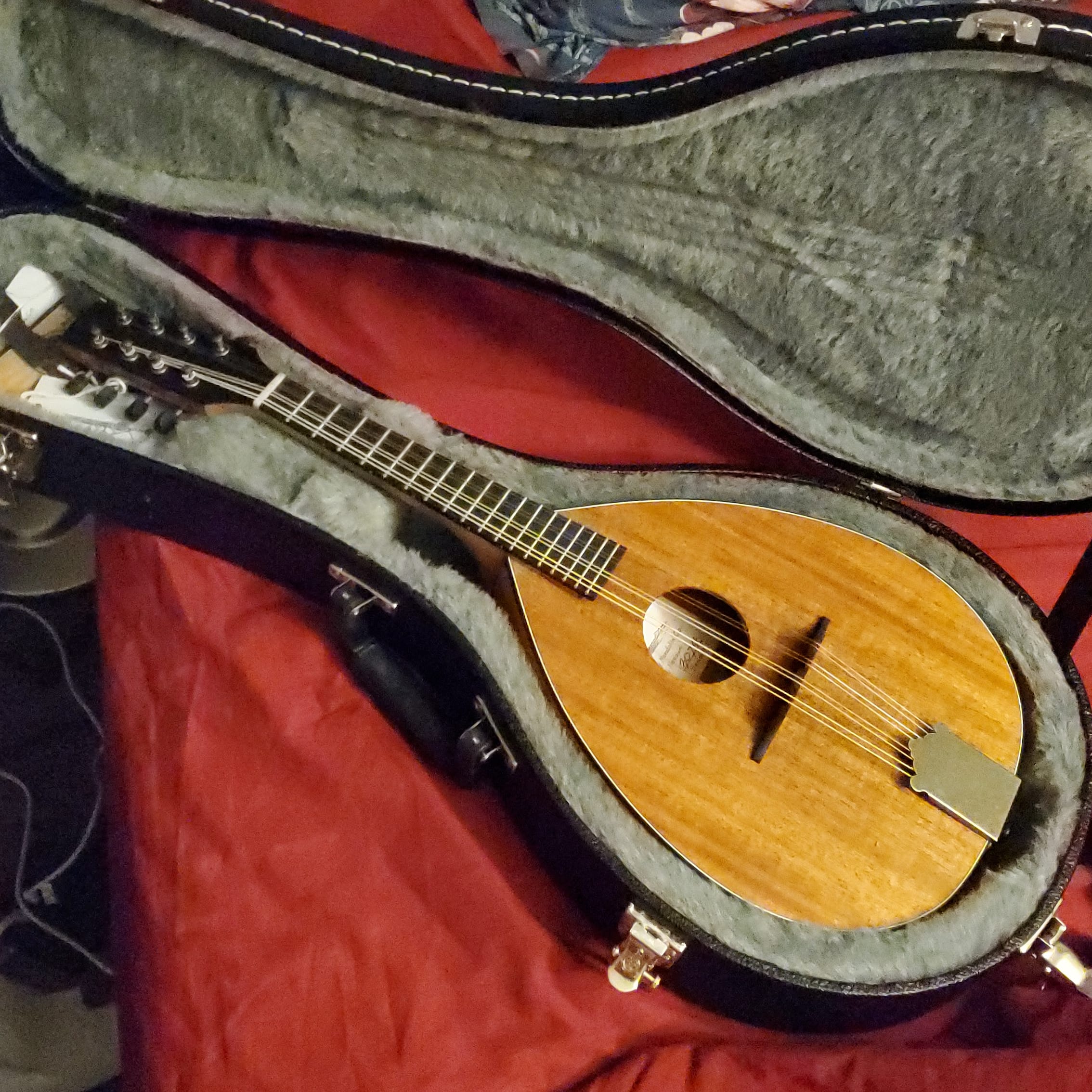 504 best r/mandolin images on Pholder My 1976 Gibson F5