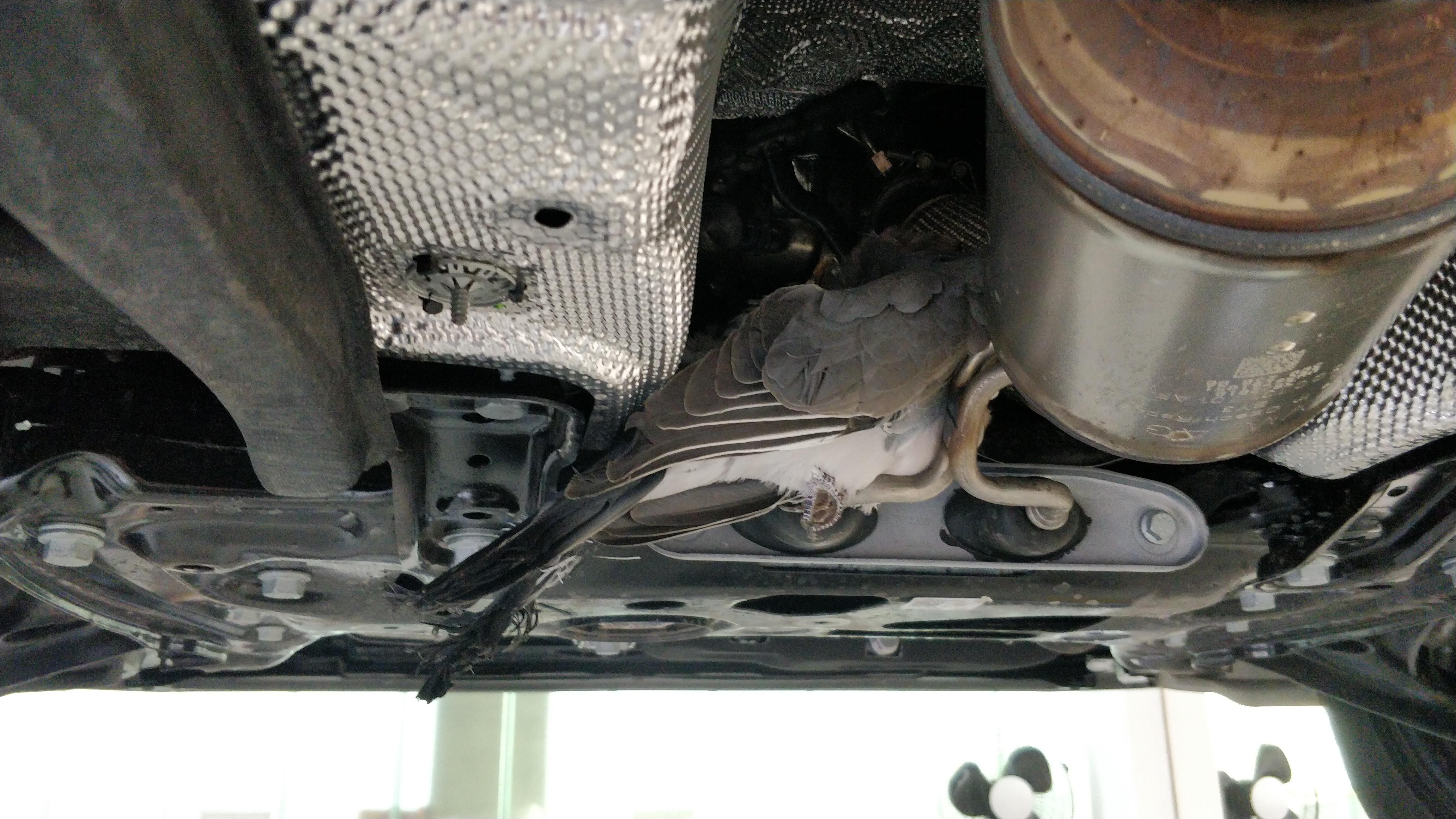 Customer complained about the clutch smelling