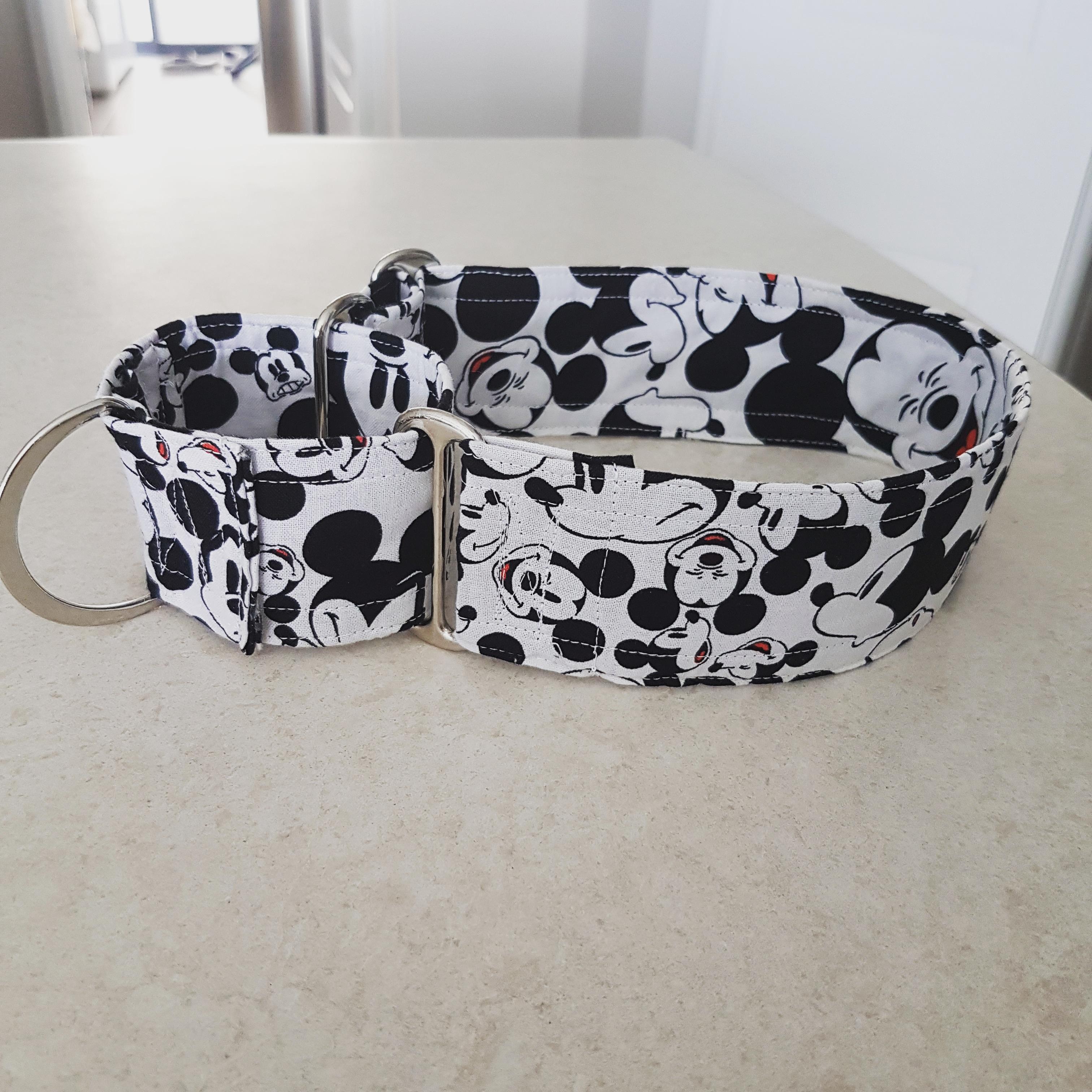 Made my first Martingale collar very happy with how it turned out r