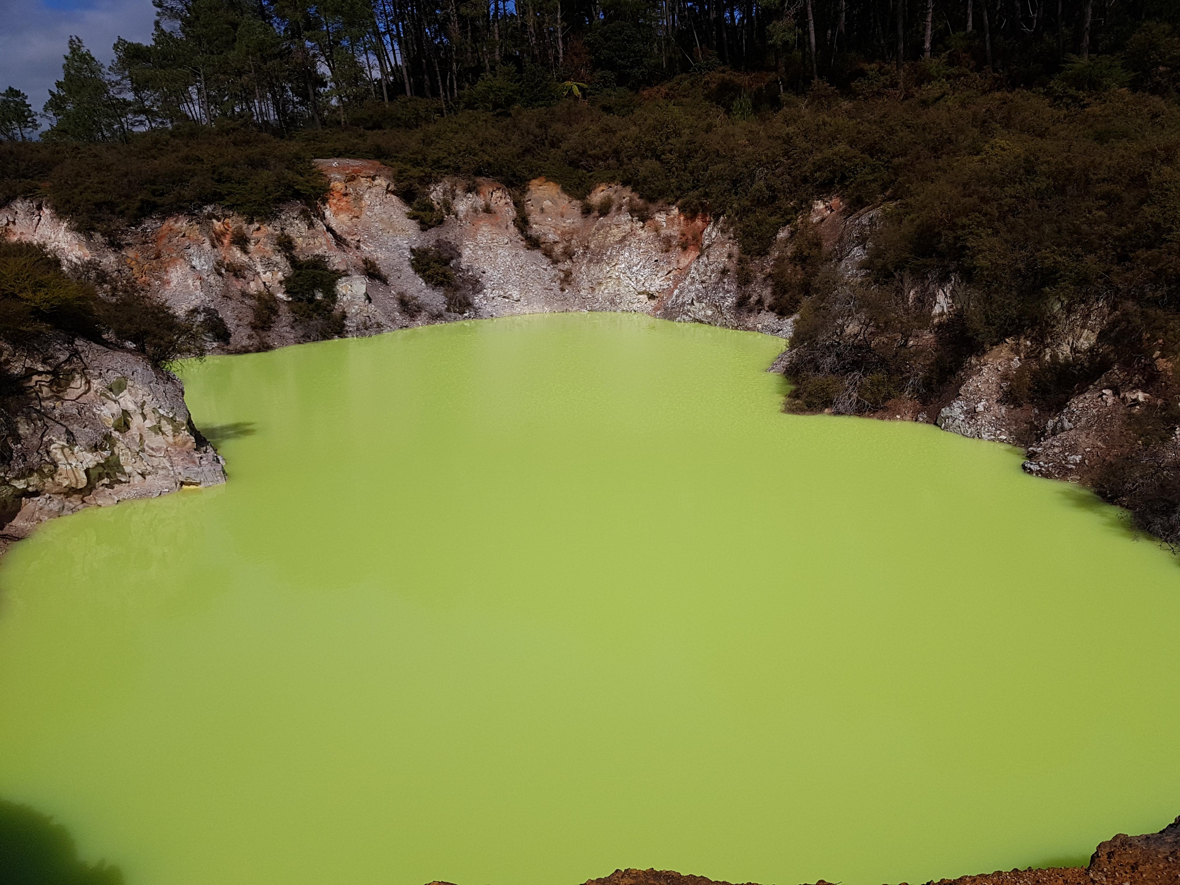 Devil's Bath Waiotapu, New Zealand [4032x3024] [OC] r/EarthPorn