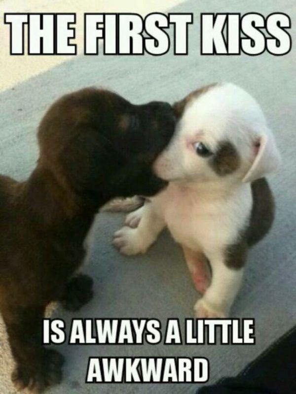 That is my first kiss r/Eyebleach