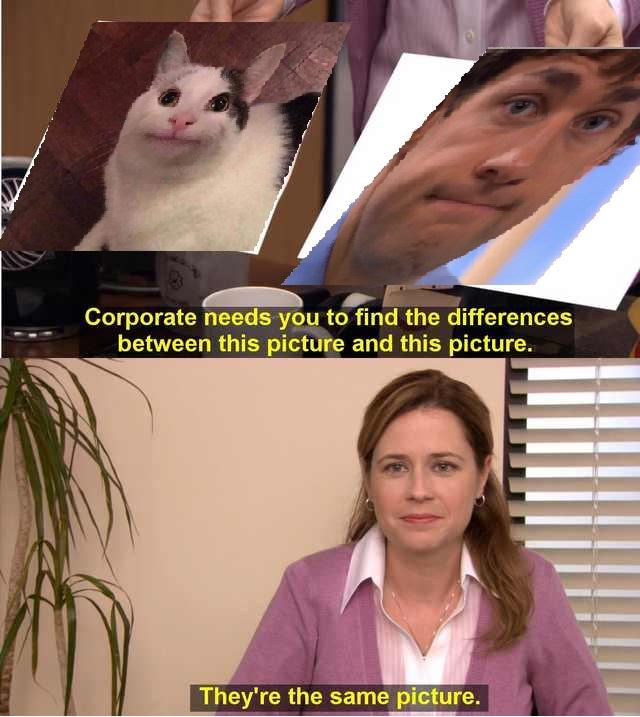 They're the same picture DunderMifflin