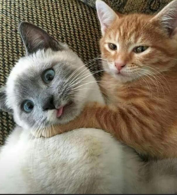 Reddit Dive into anything