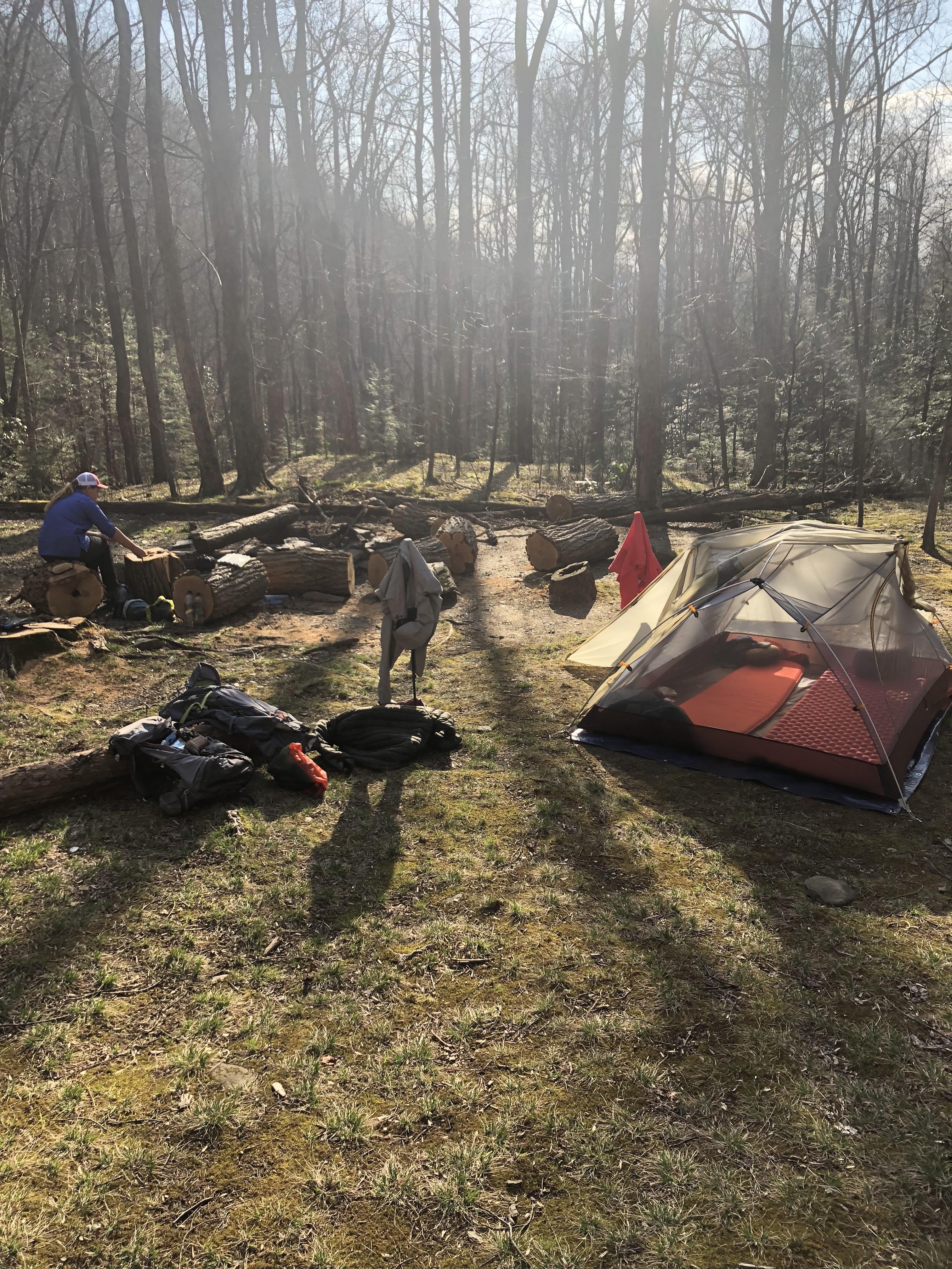 Backcountry camping in the Smokey’s. r/camping