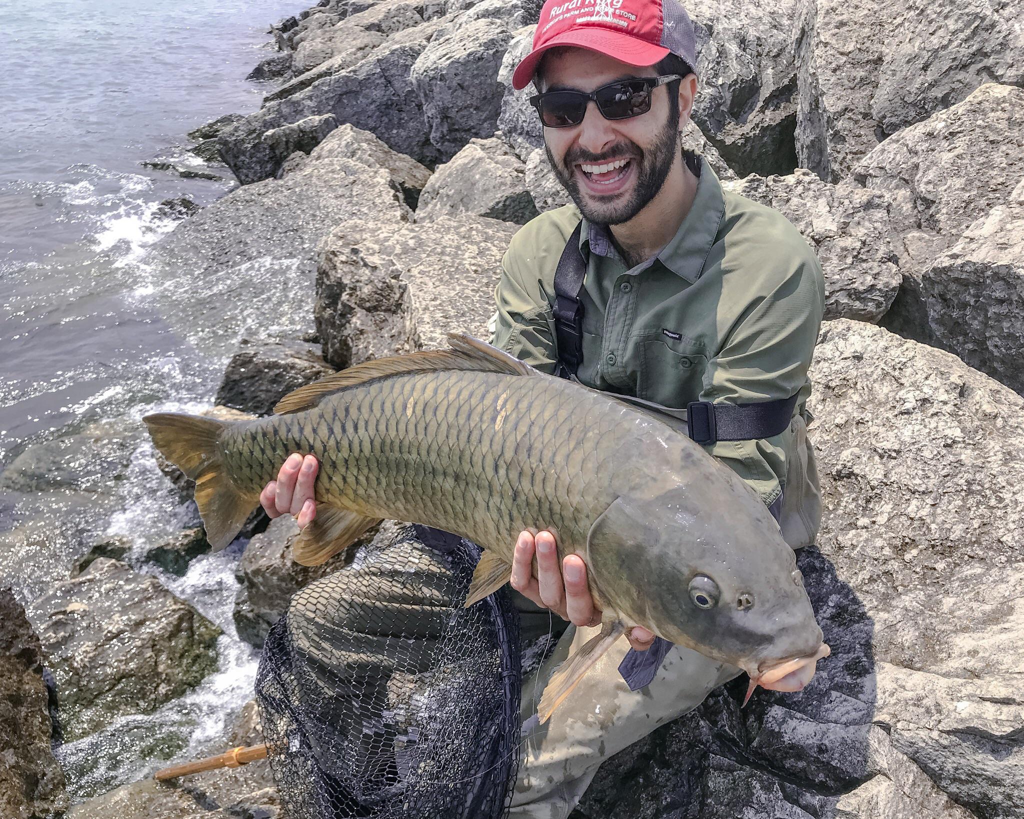 A nice brown trout from Lake Michigan r/flyfishing