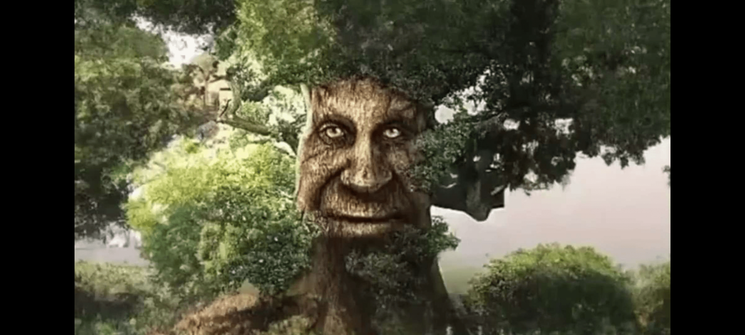 What's the actual source for the EXPANDED Wise Mystical tree image(know