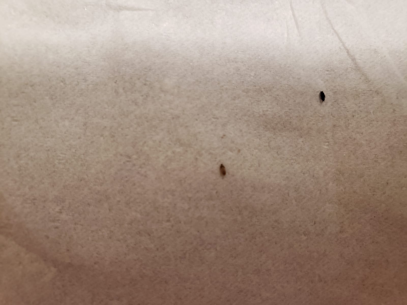 Can anyone tell me what this is? It was found in the seam of the