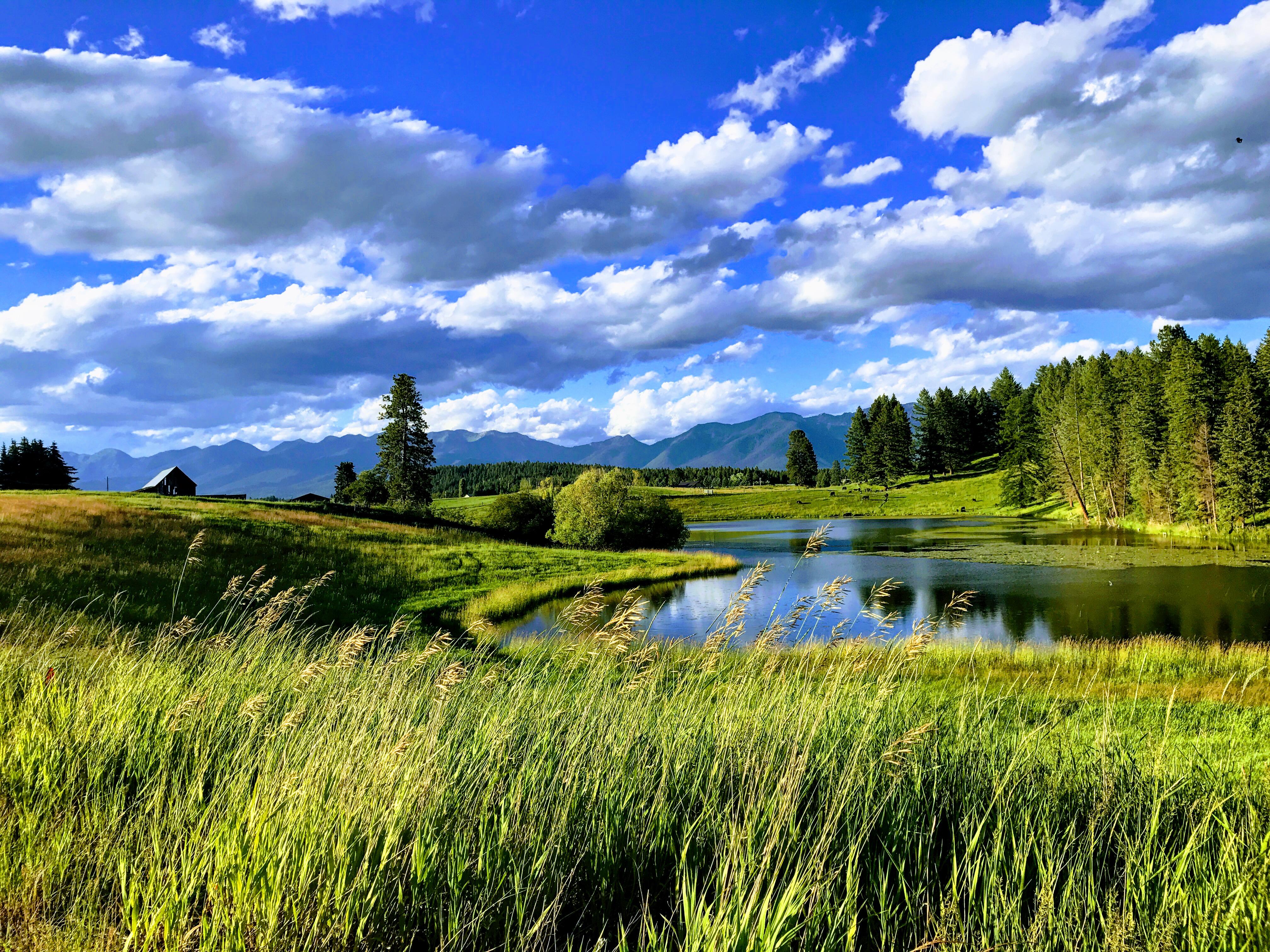 Summer evening stroll in Bigfork Mt [OC] [3264x2448] r/EarthPorn