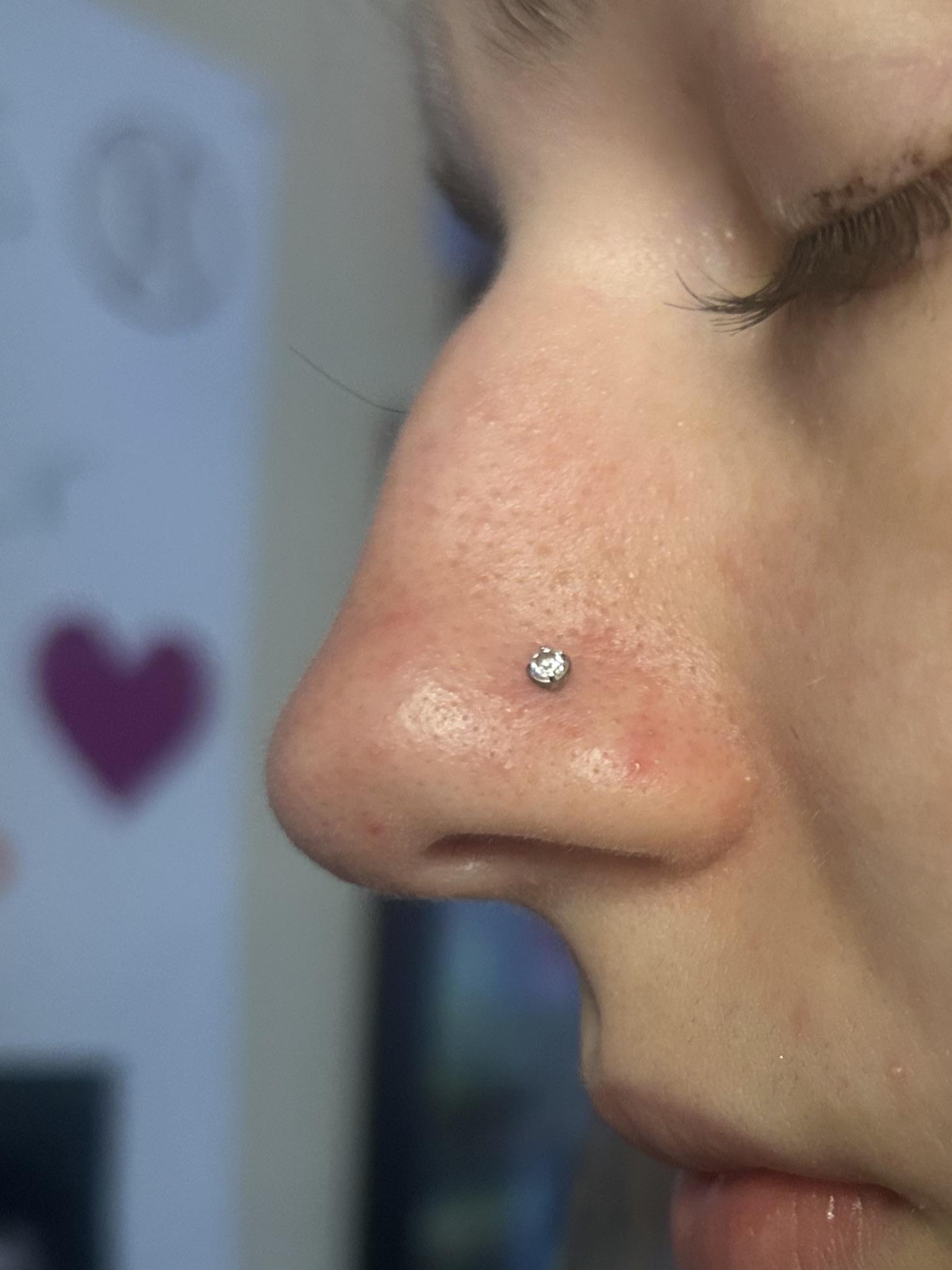 How To Change Nose Ring Outlet
