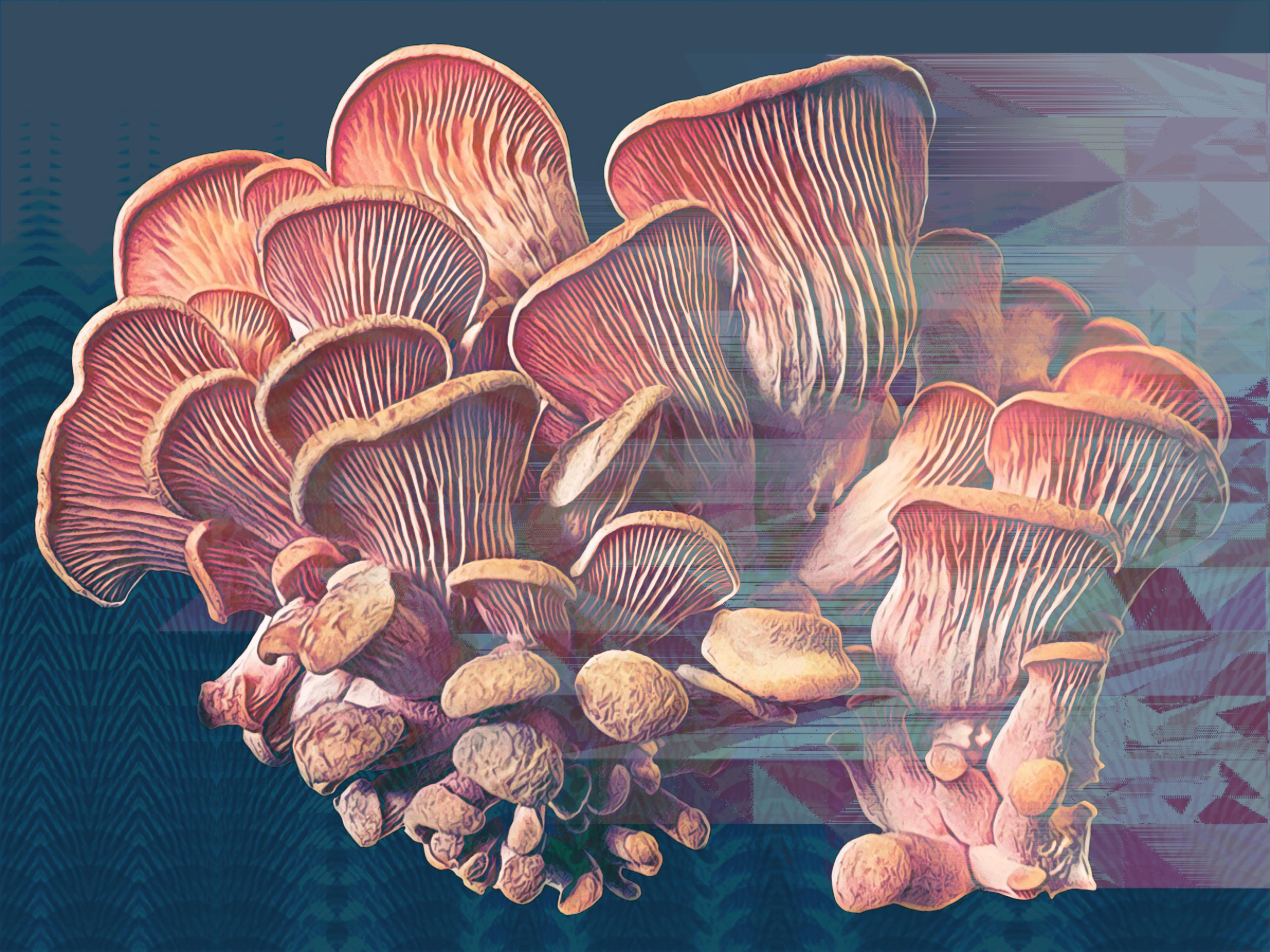 Thought I’d share, some digital art that was inspired by some pink