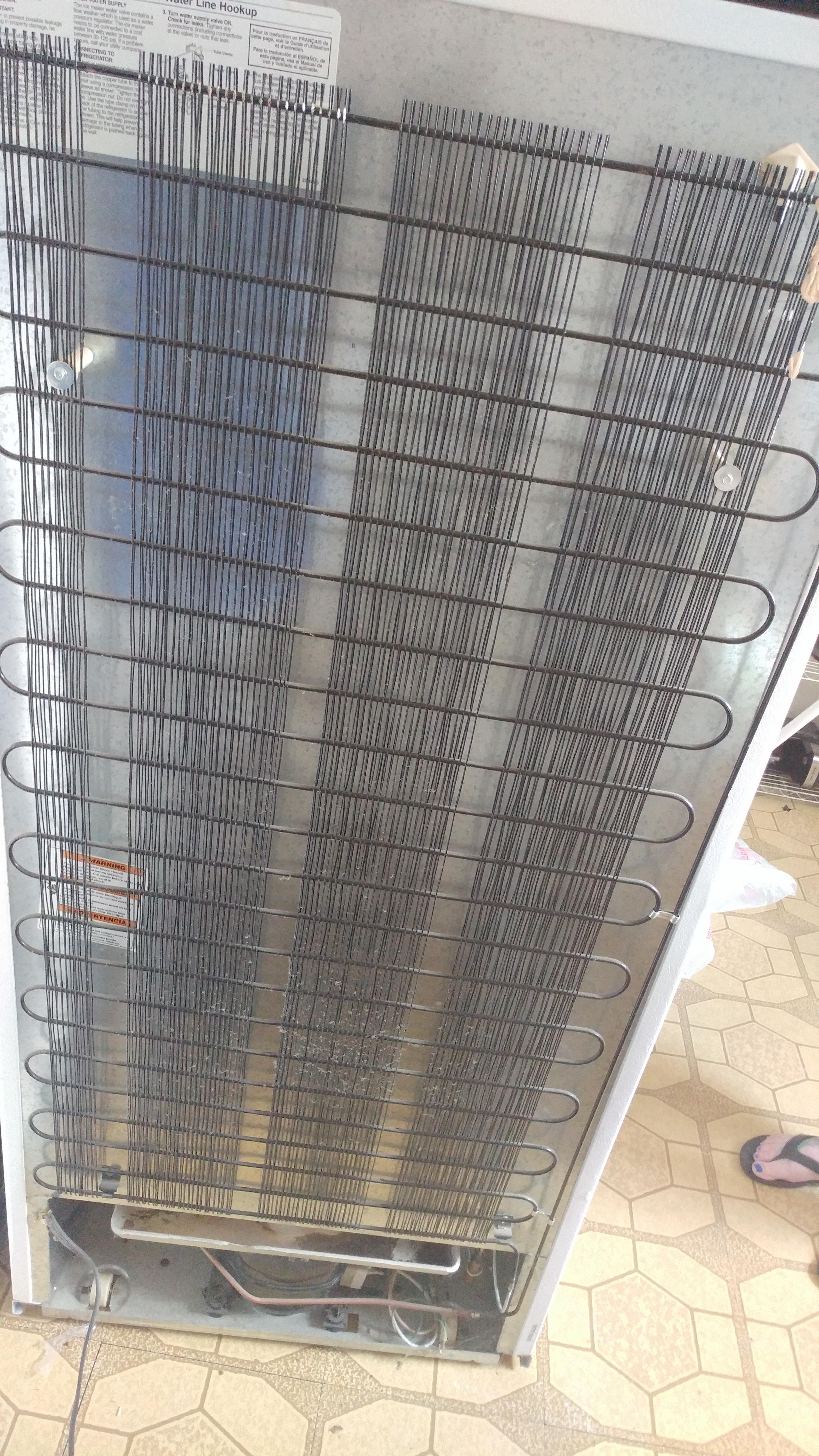 What is this on the back of my fridge? (The black coils intertwining