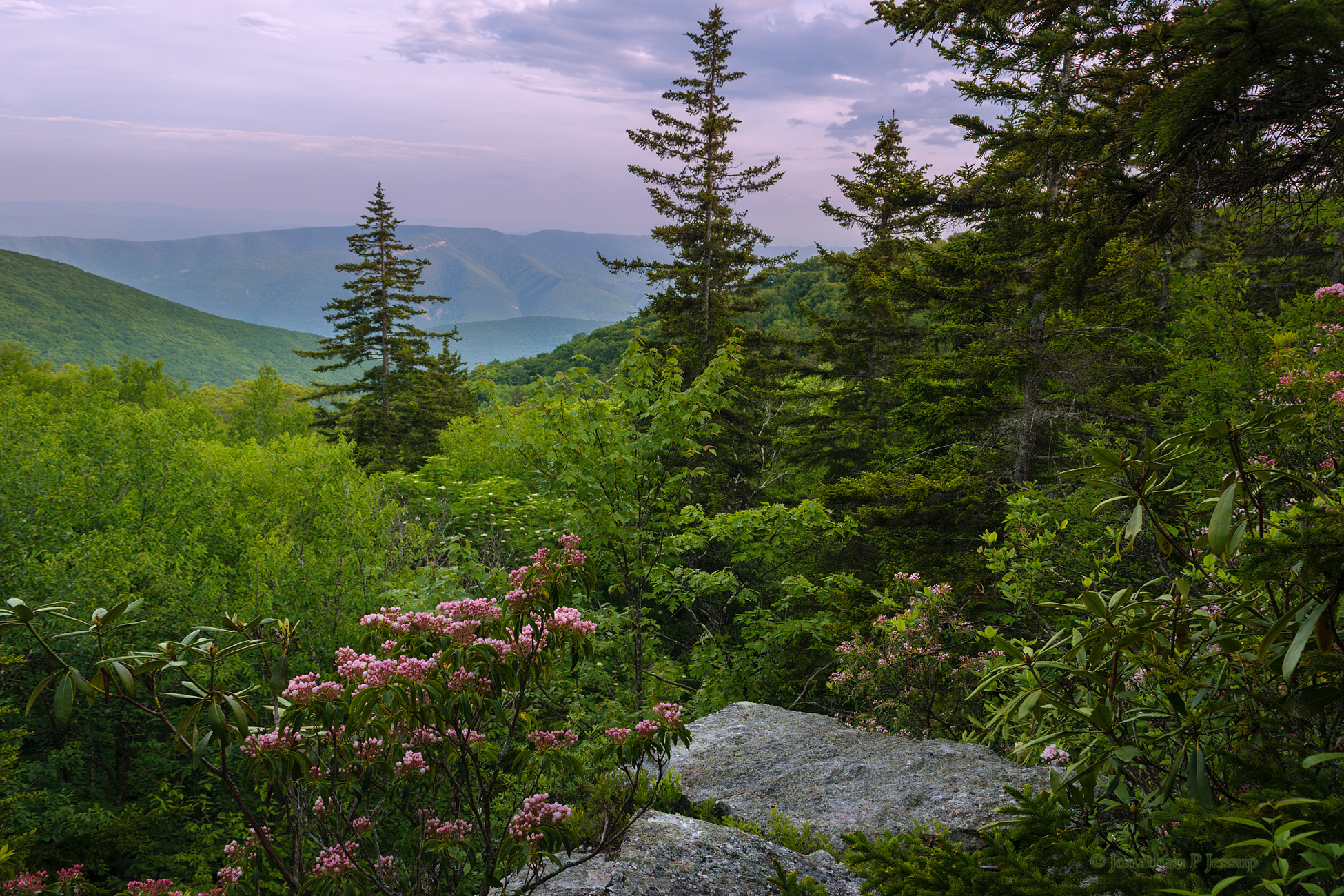 Wild view in the West Virginia Highlands [OC] [1950x1300] r/EarthPorn