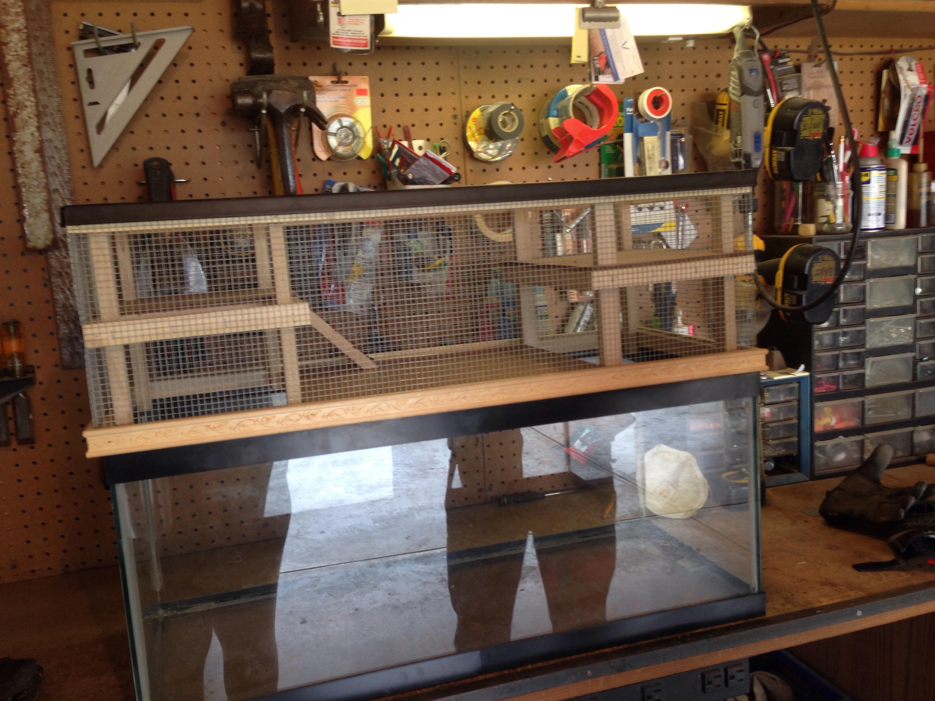 Just finished building my own custom tank topper! The future new