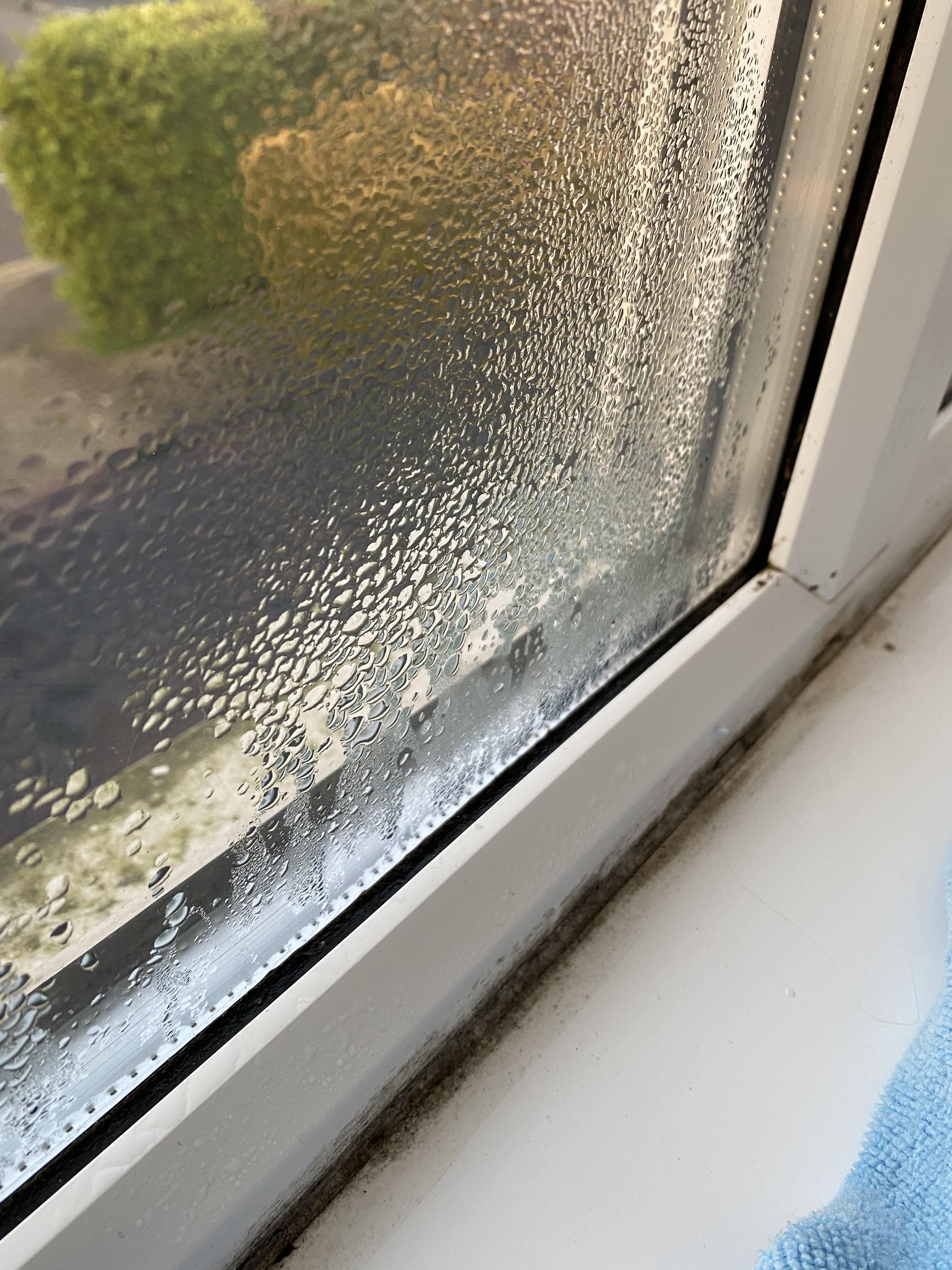 How to stop this condensation? What products helps with this? The black