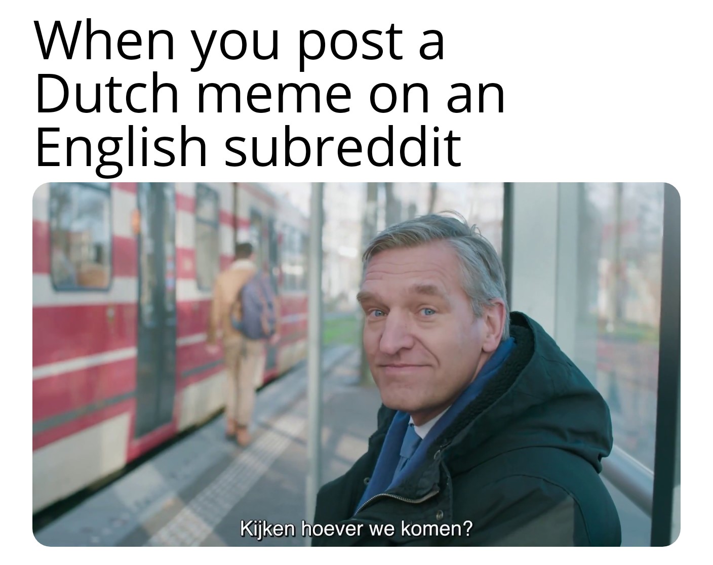 G E K O L O N I S E E R D memes