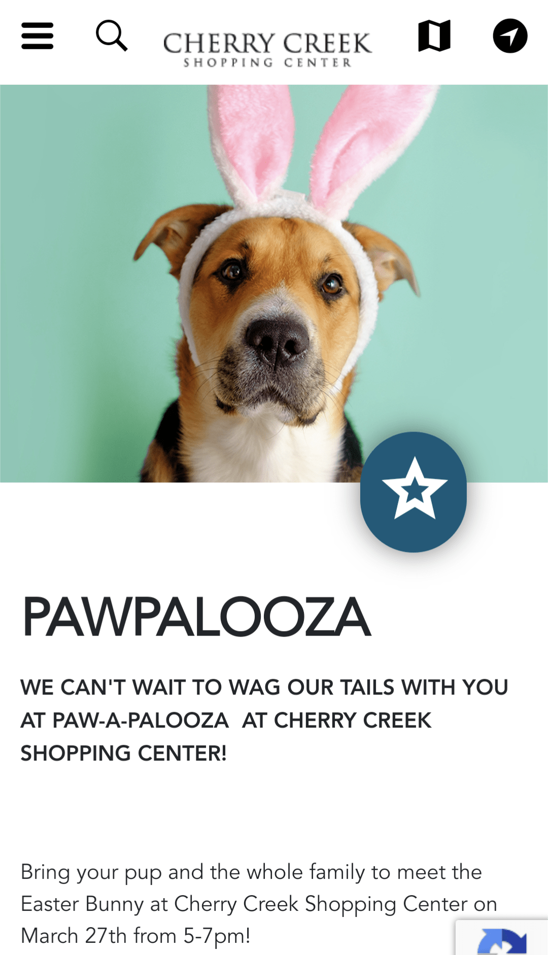 Can You Bring Your Dog To The Mall